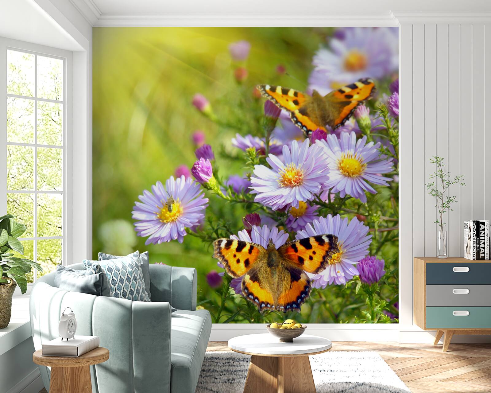 Fototapeta Lúka posiata modrými sedmokráskami a motýľmi