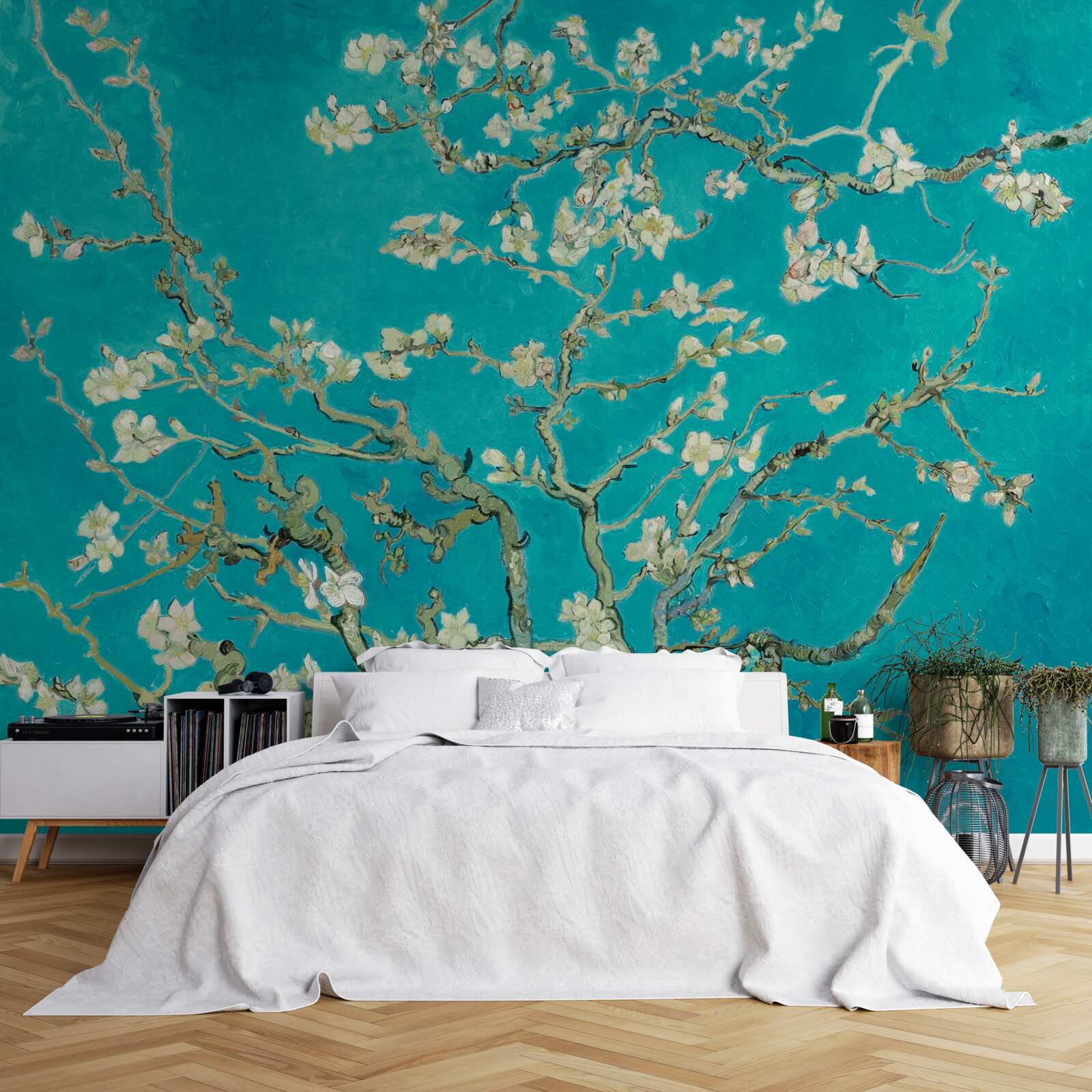 Fototapeta kvitnúce mandľové konáre