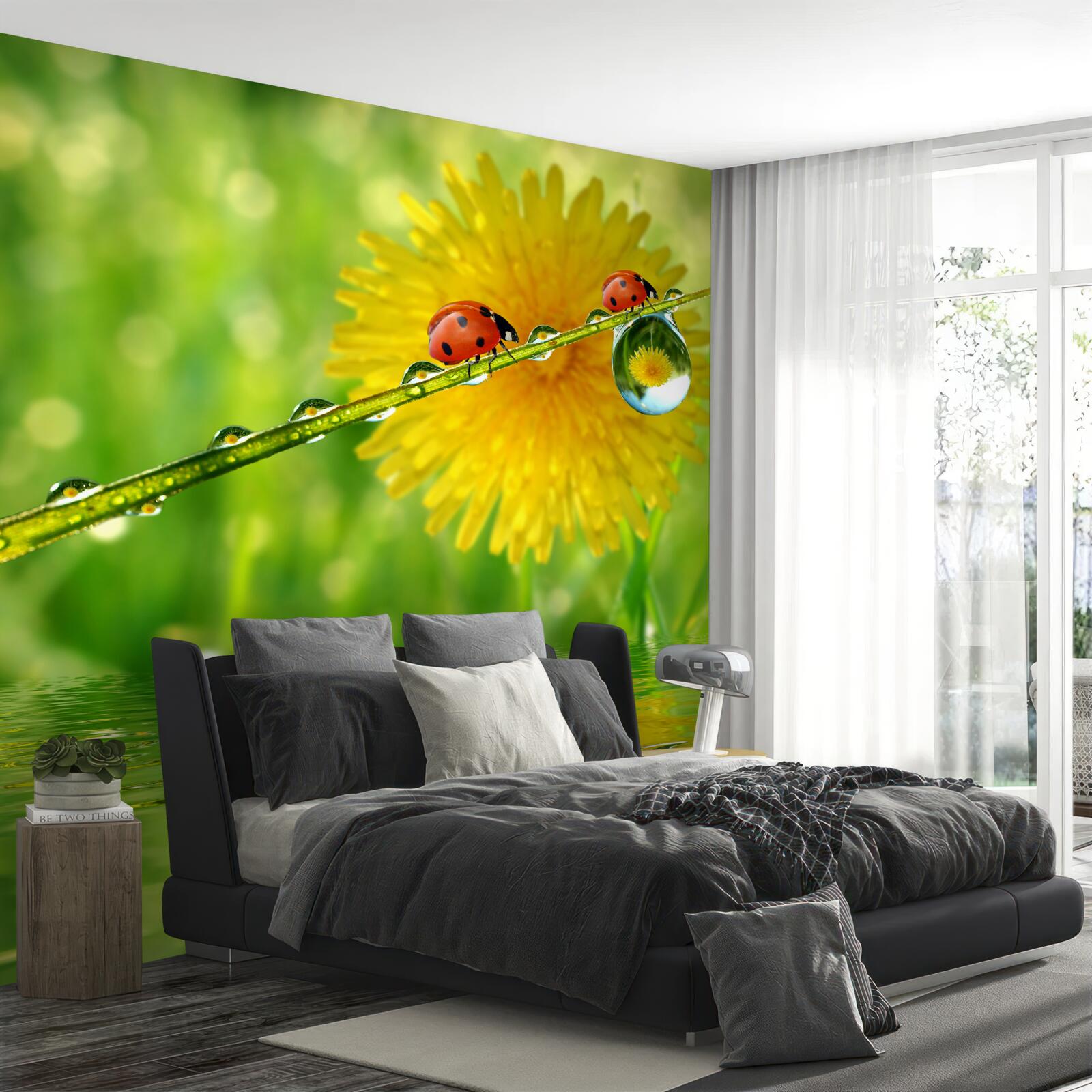 Fototapeta lienky po silnej búrke