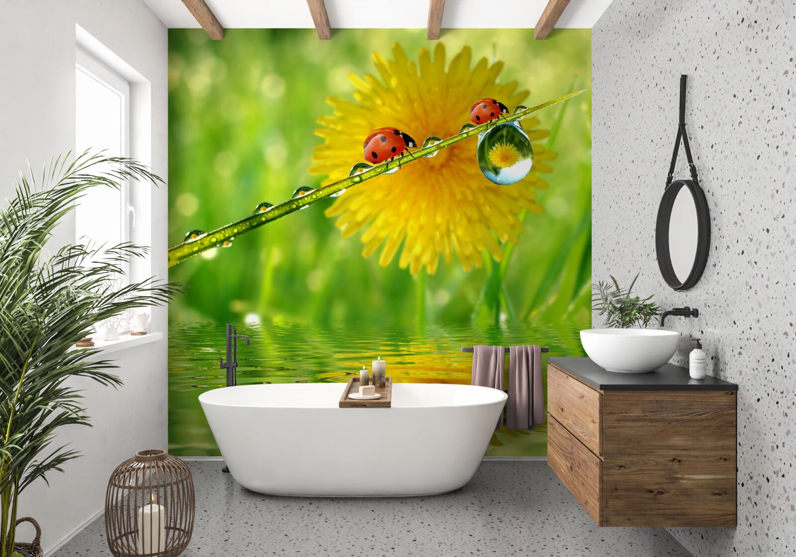 Fototapeta lienky po silnej búrke