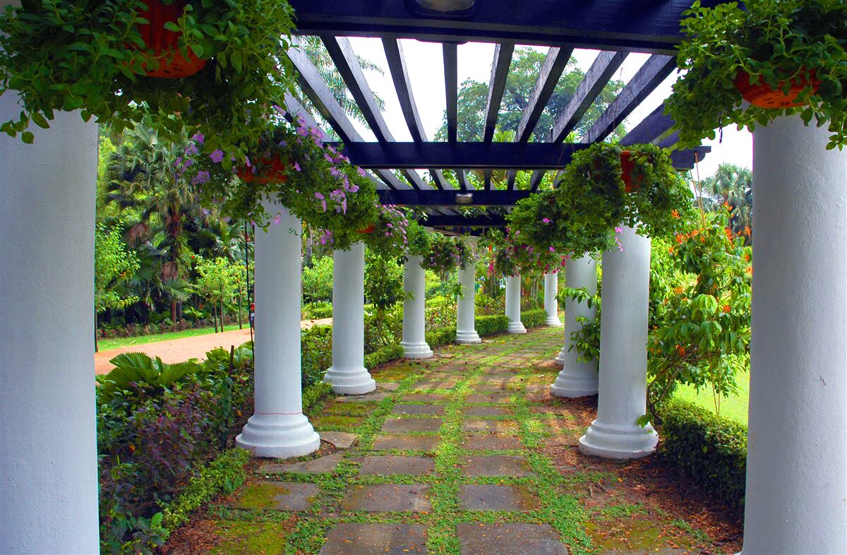 Fototapeta biele betónové stĺpy v záhrade