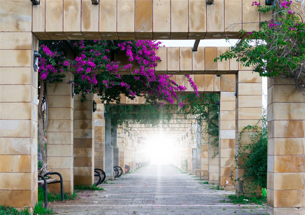 Fototapeta obdĺžnikový oblúk z kameňa, zdobený kvetmi