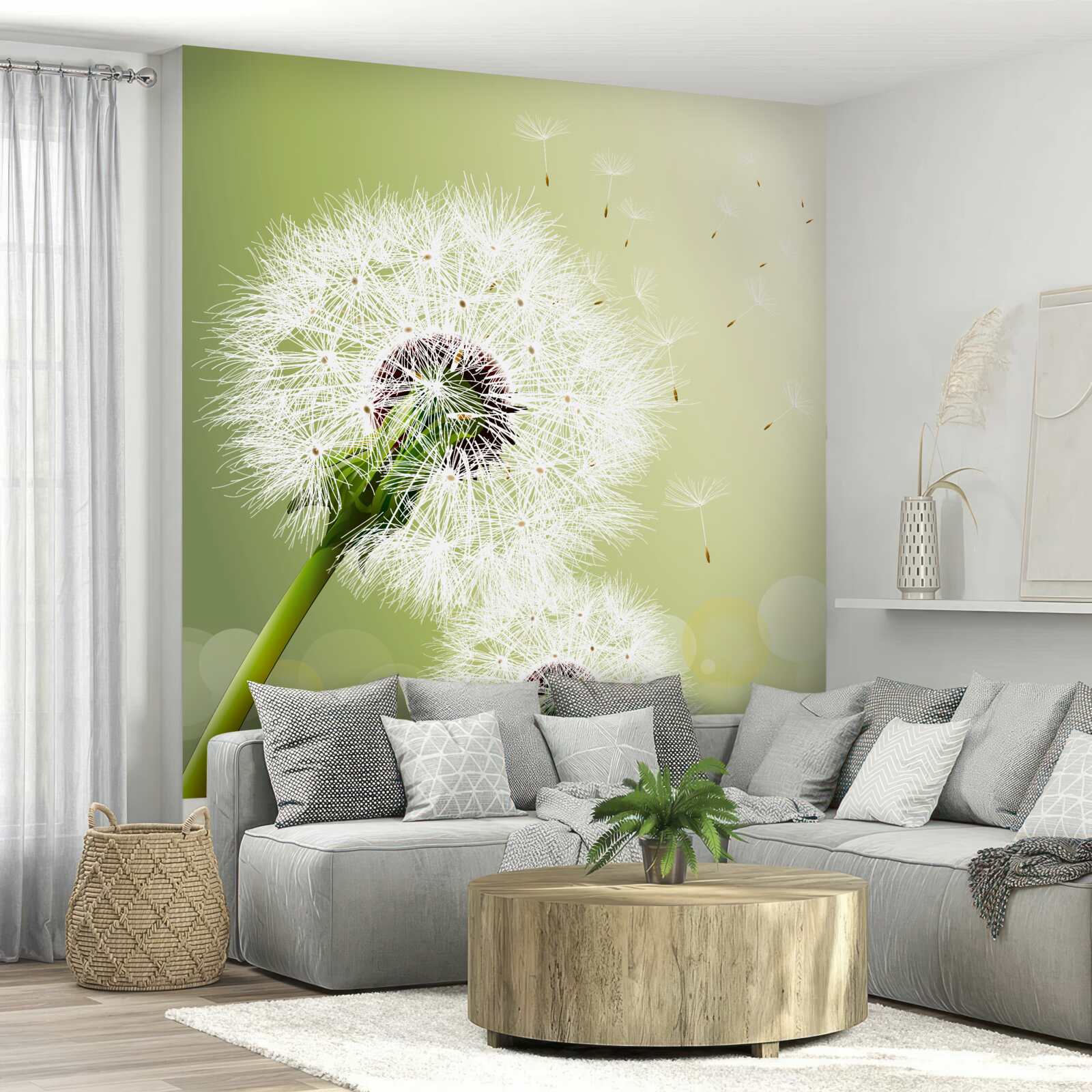 Fototapeta biela púpava letiaca vo vzduchu