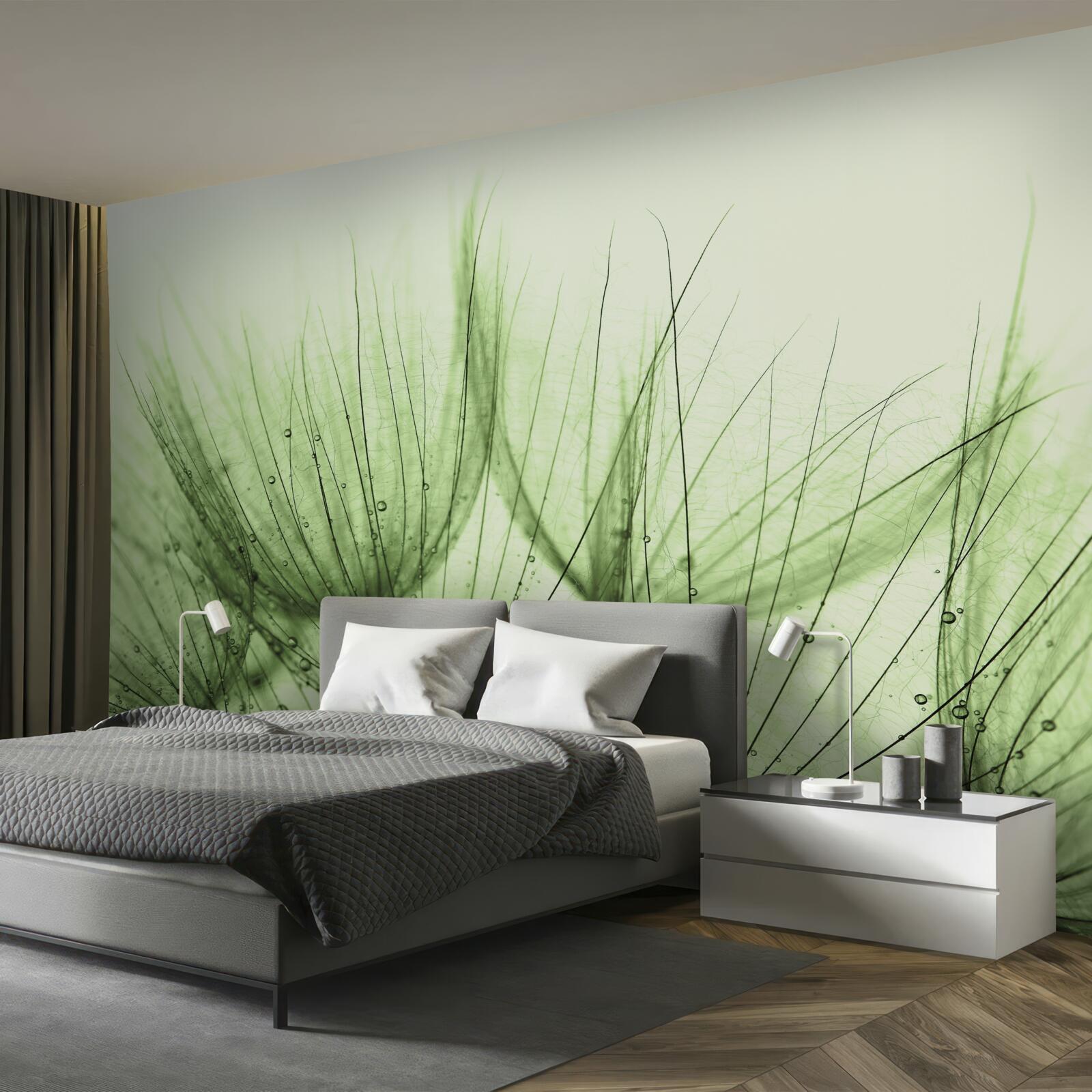 Fototapeta zbierka vzdušných púpav