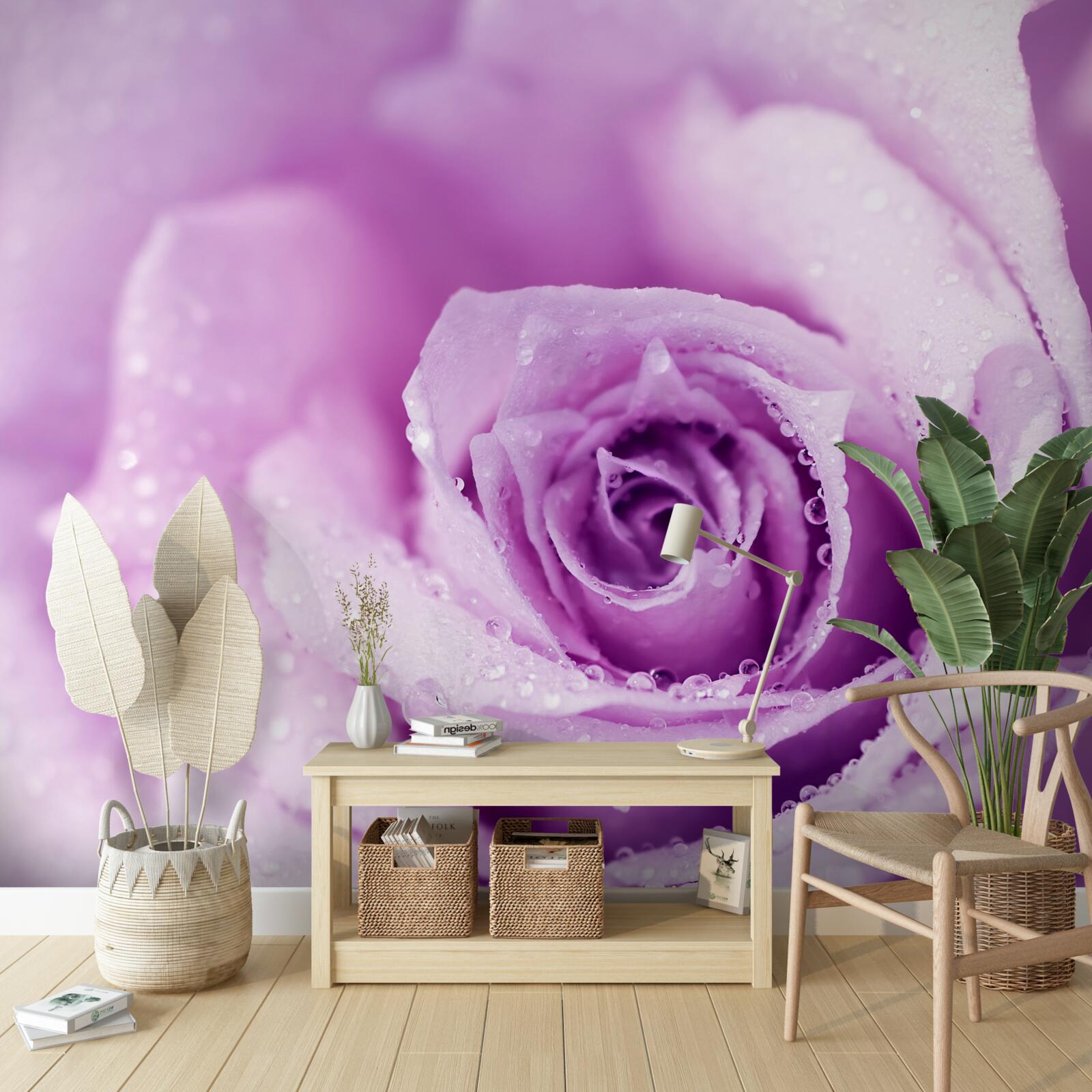 Fototapeta ruža s fialovým odtieňom po daždi