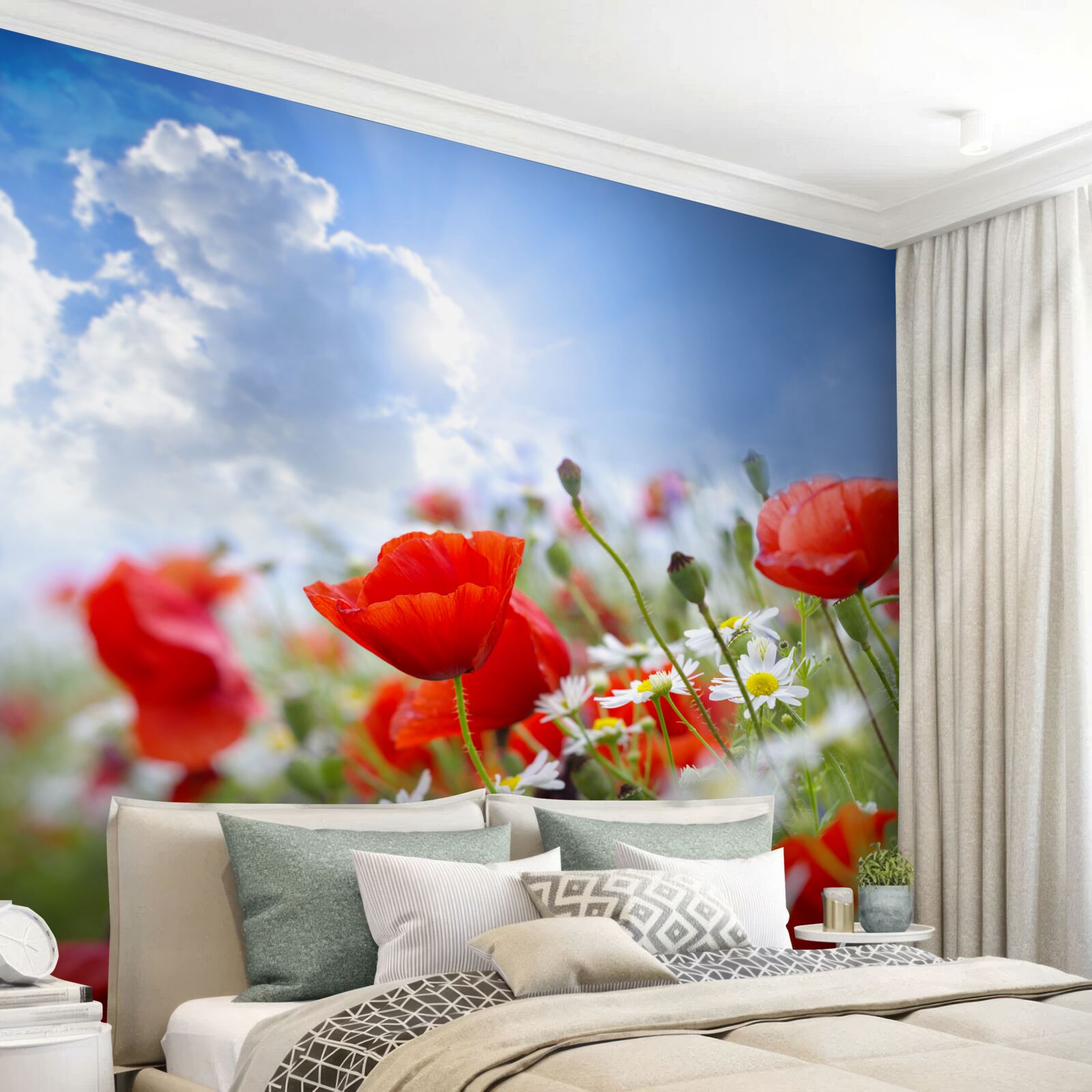 Fototapeta poľné kvety s jasnými makmi