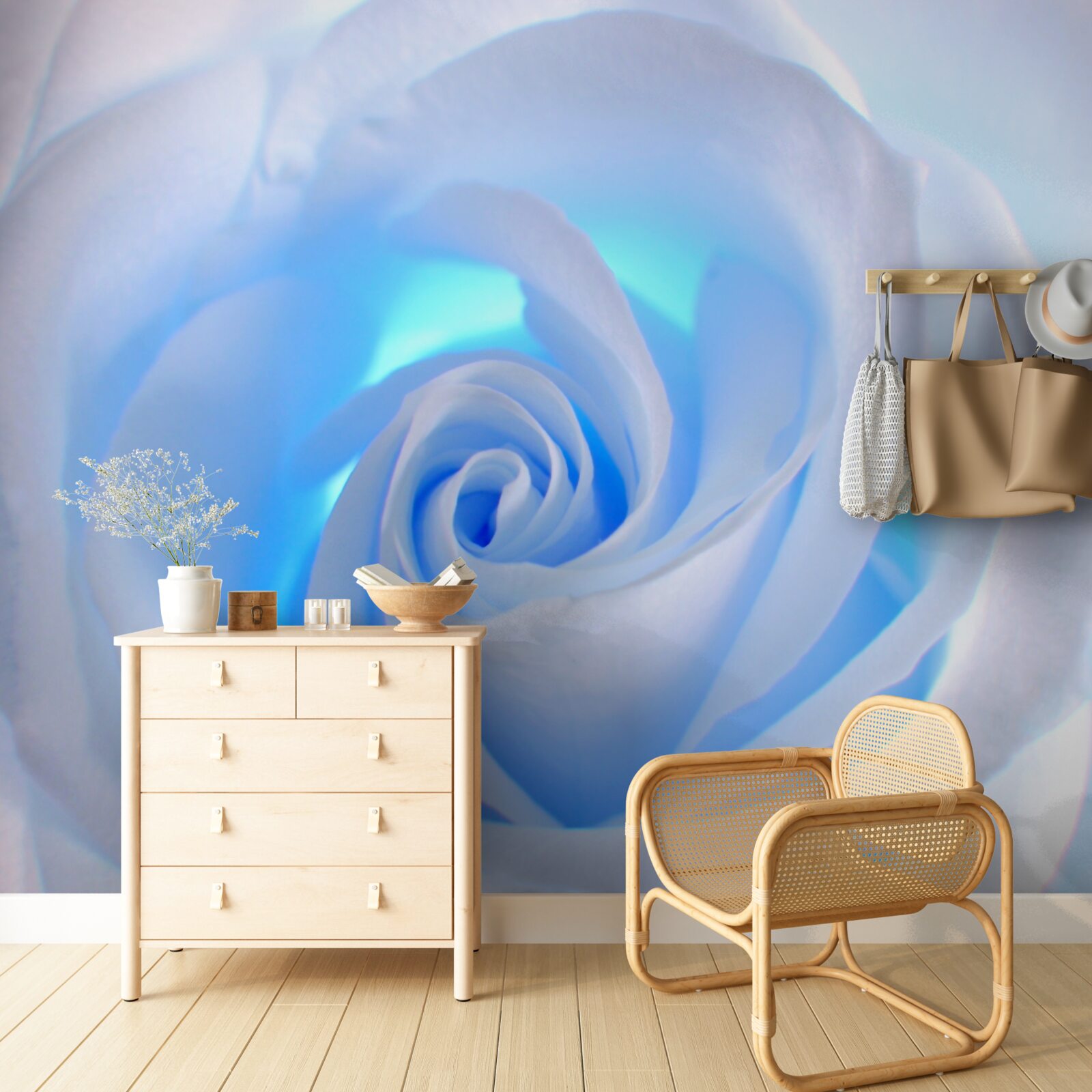 Fototapeta modré svetlo prenikajúce cez jemnú bielu ružu