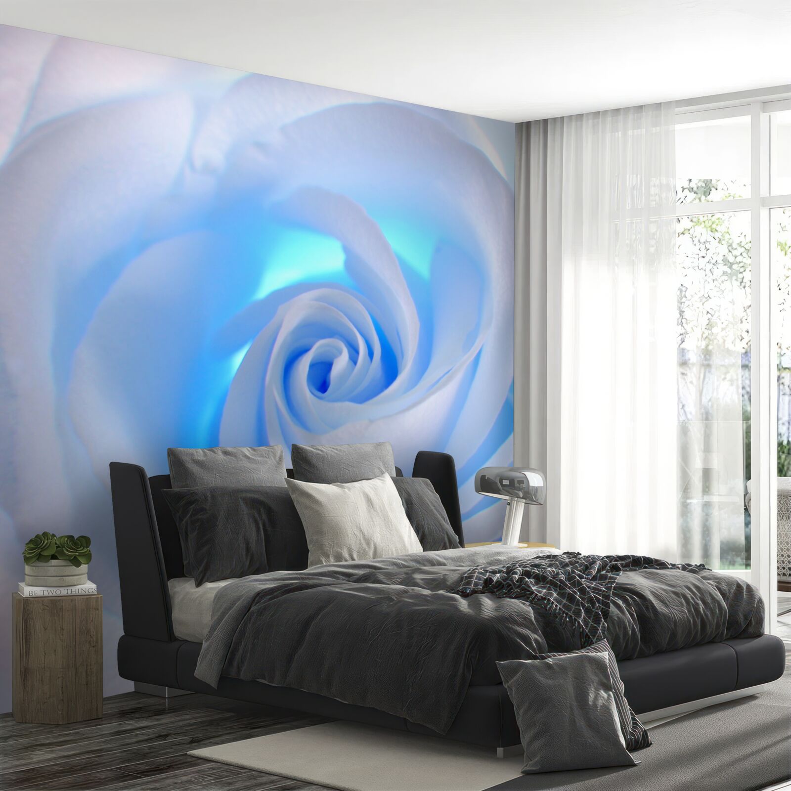 Fototapeta modré svetlo prenikajúce cez jemnú bielu ružu