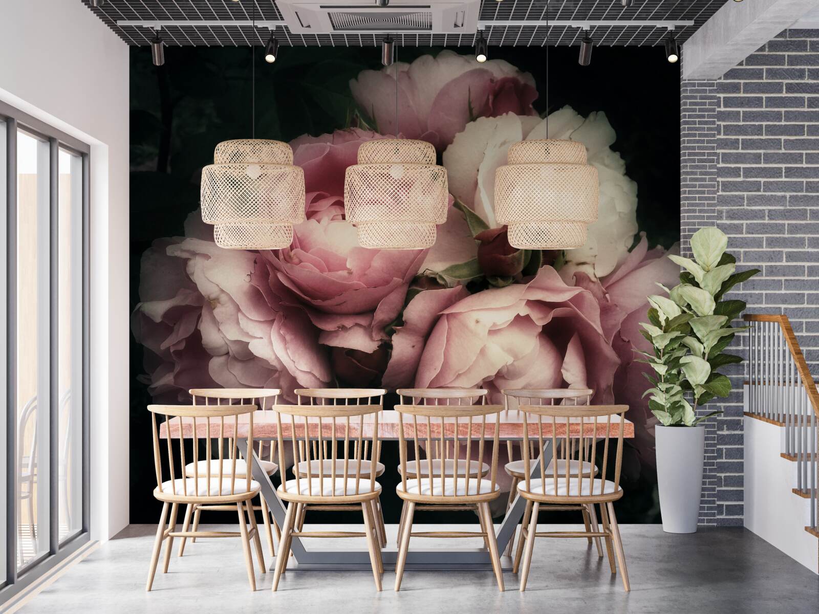 Fototapeta veľké ružové ruže