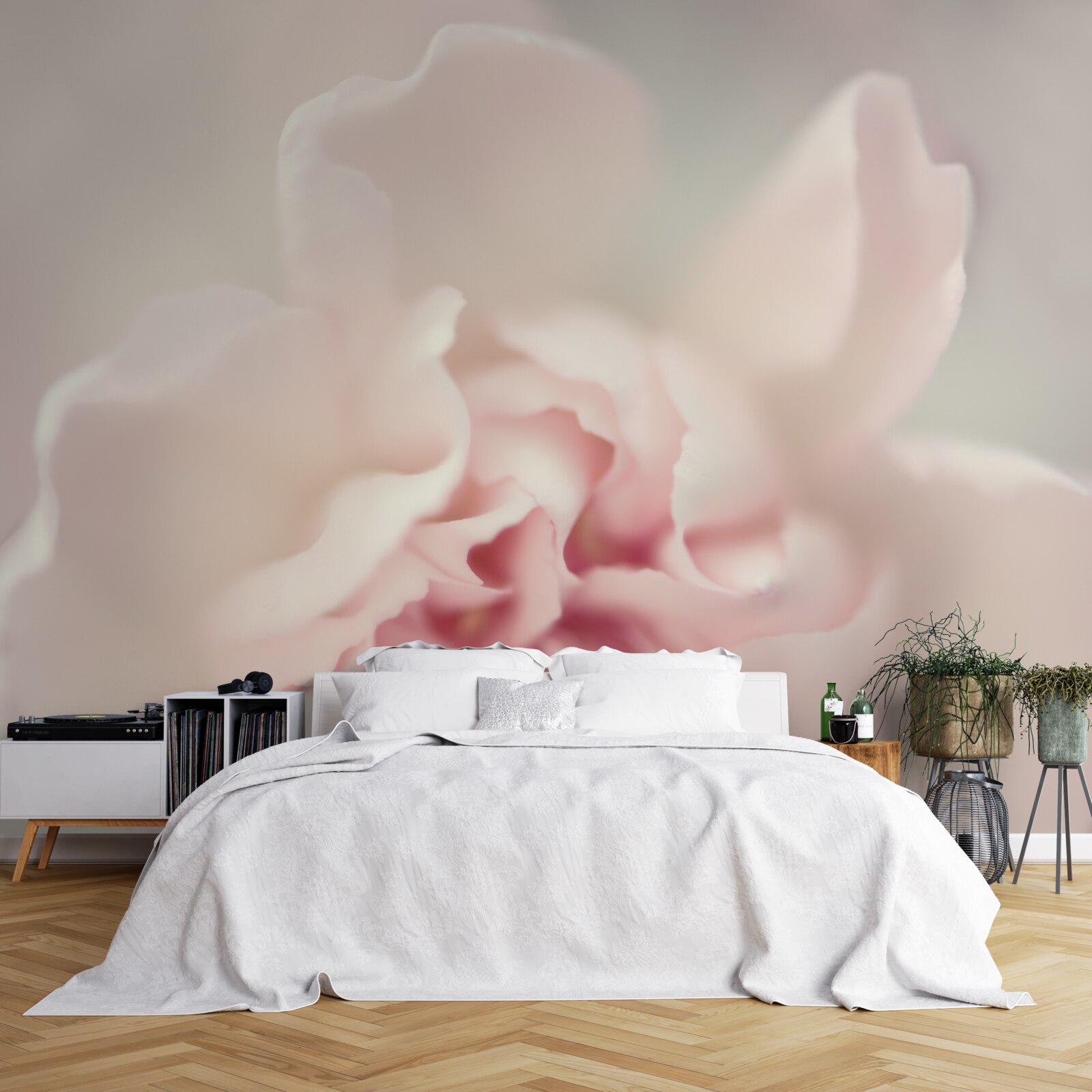 Fototapeta púčik v jemných odtieňoch ružovej