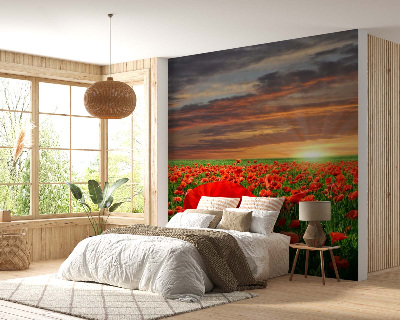 Fototapeta západ slnka nad poľom šarlátových makov