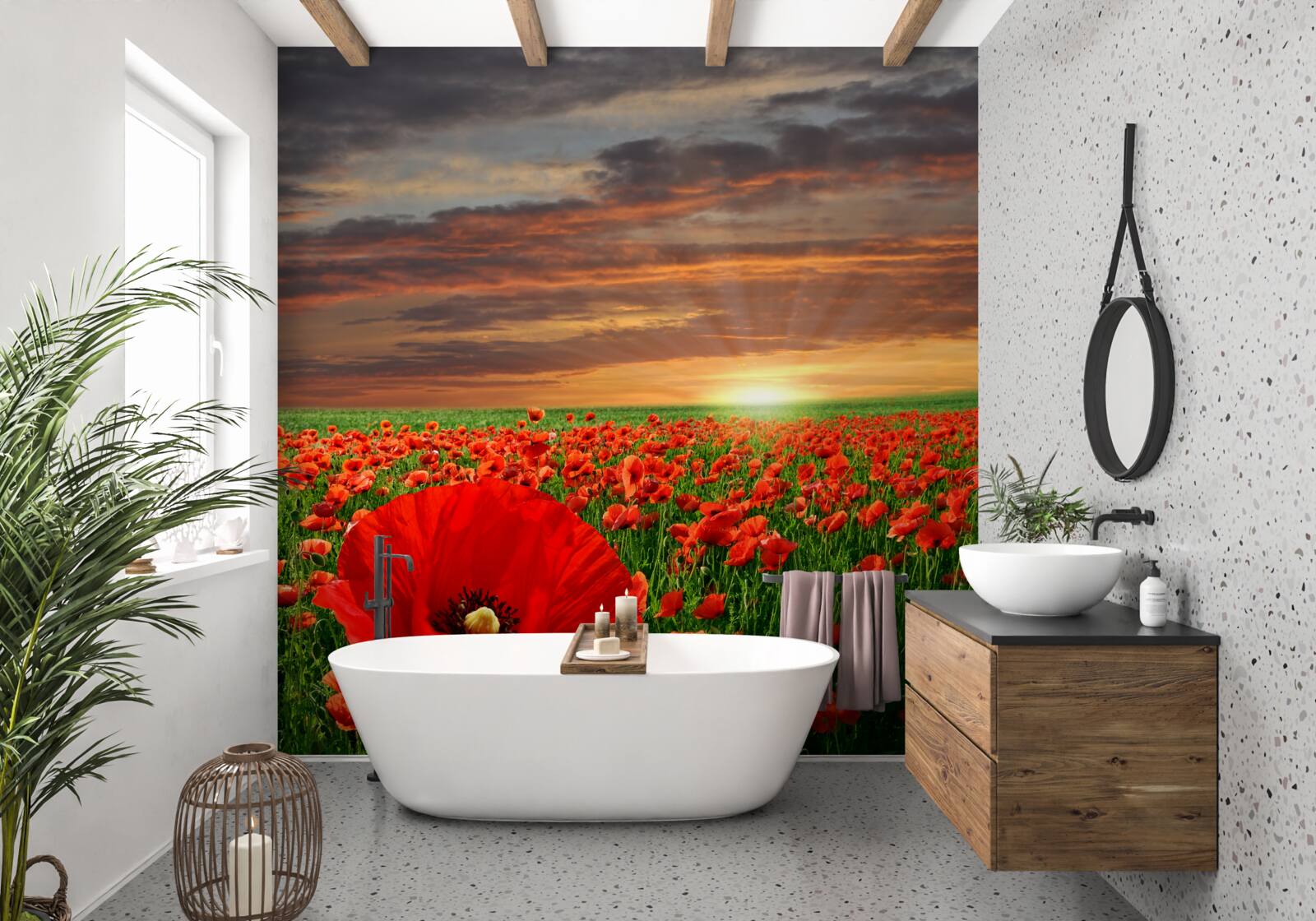 Fototapeta západ slnka nad poľom šarlátových makov