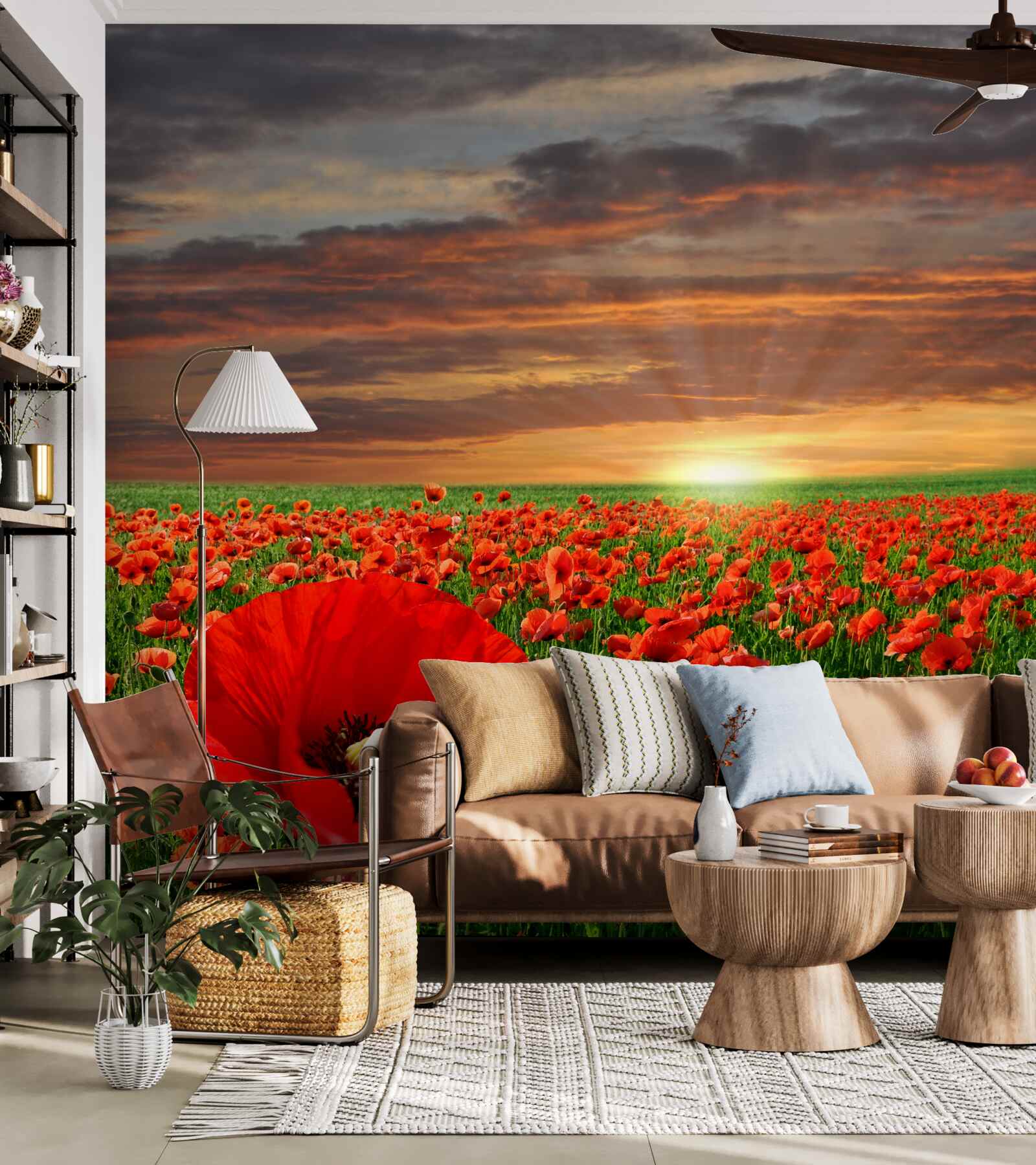 Fototapeta západ slnka nad poľom šarlátových makov