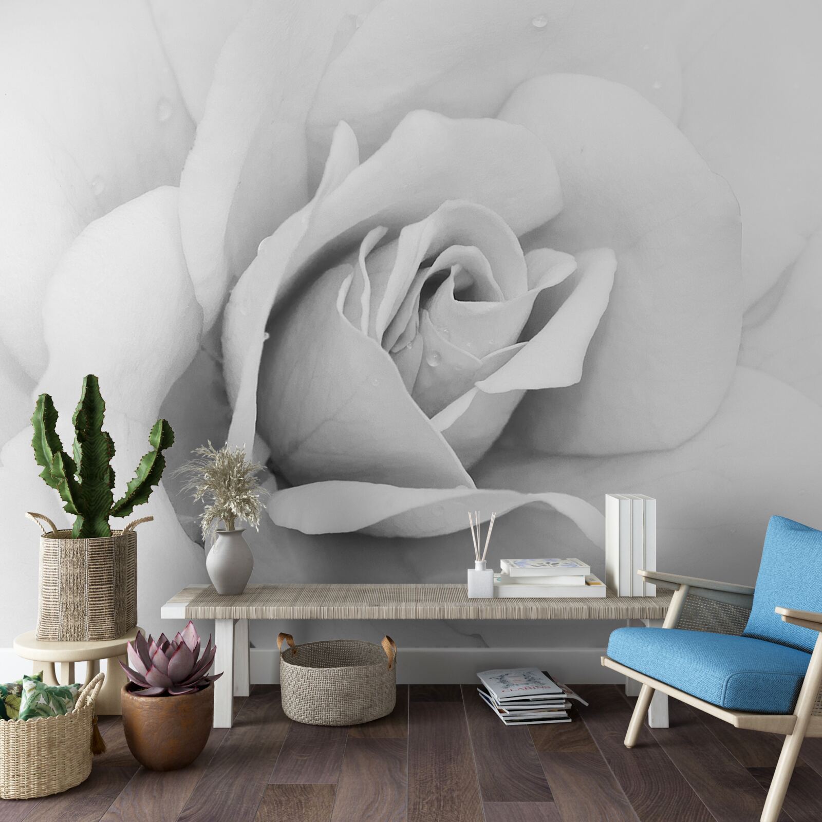 Fototapeta zväčšený obraz bielej ruže