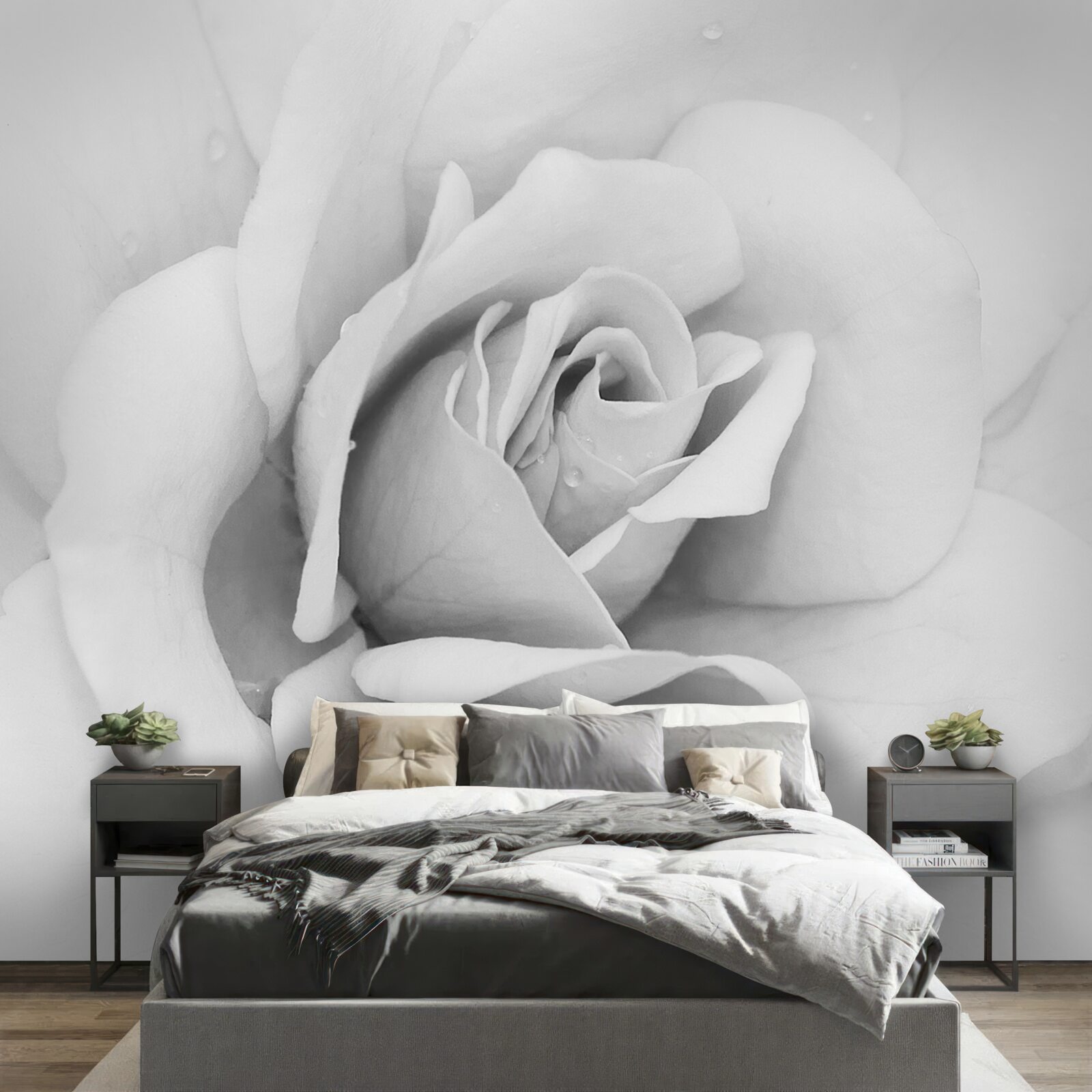 Fototapeta zväčšený obraz bielej ruže