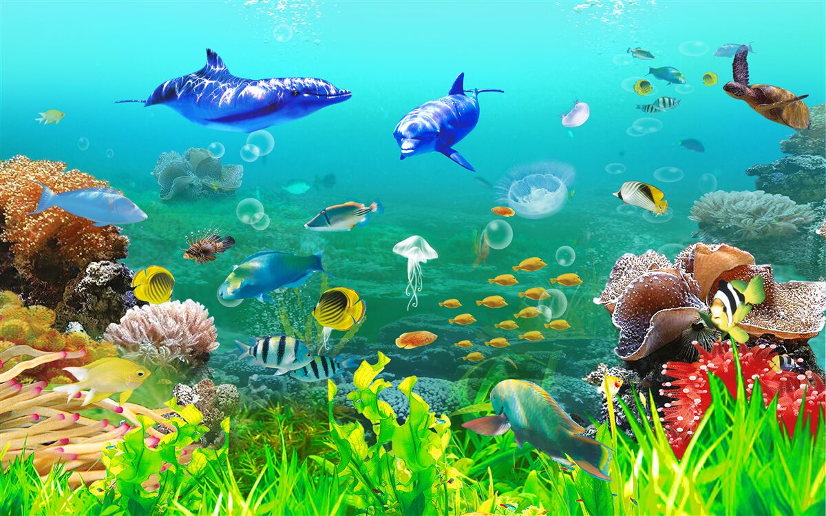 Fototapeta rozmanitosť podmorského kráľovstva