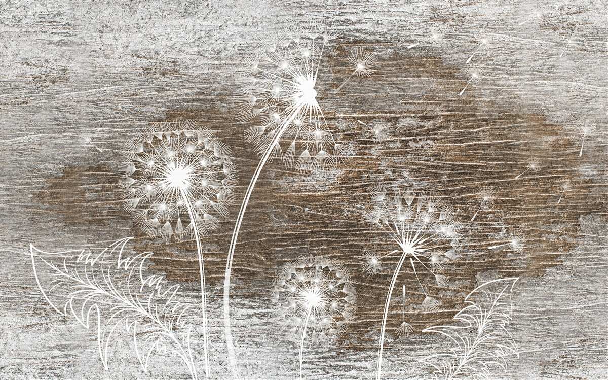 Fototapeta púpavy, biele ako sneh, na strome