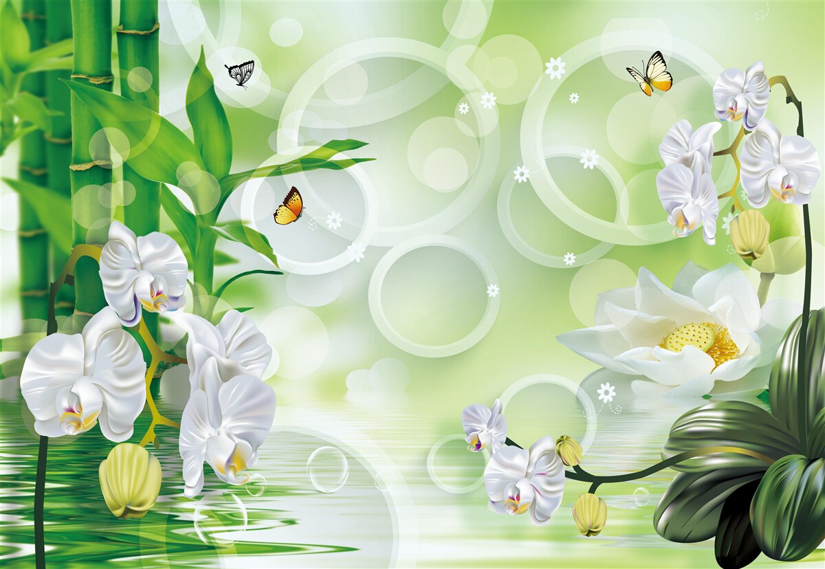 Fototapeta zelený bambus a kvety sa odrážajú vo vode, obklopené bielymi kruhmi
