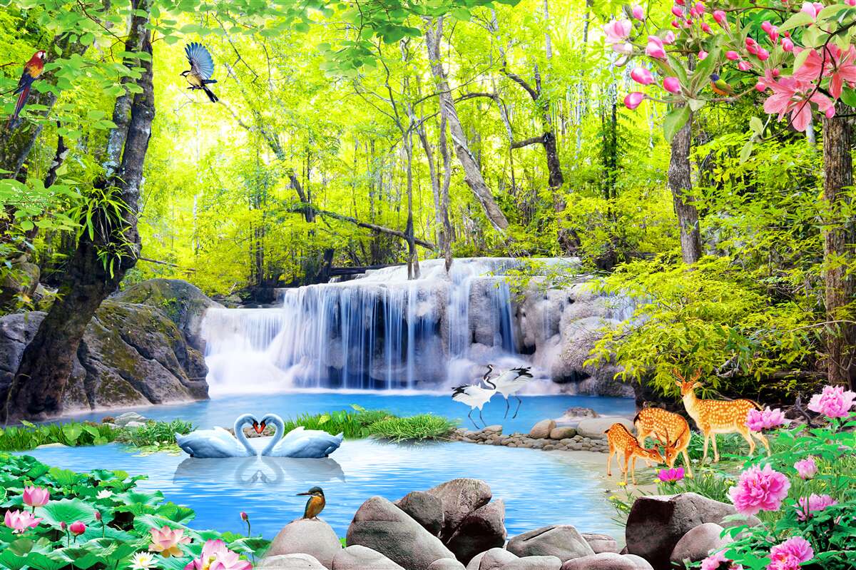 Fototapeta letný vodopád má čaro prírody