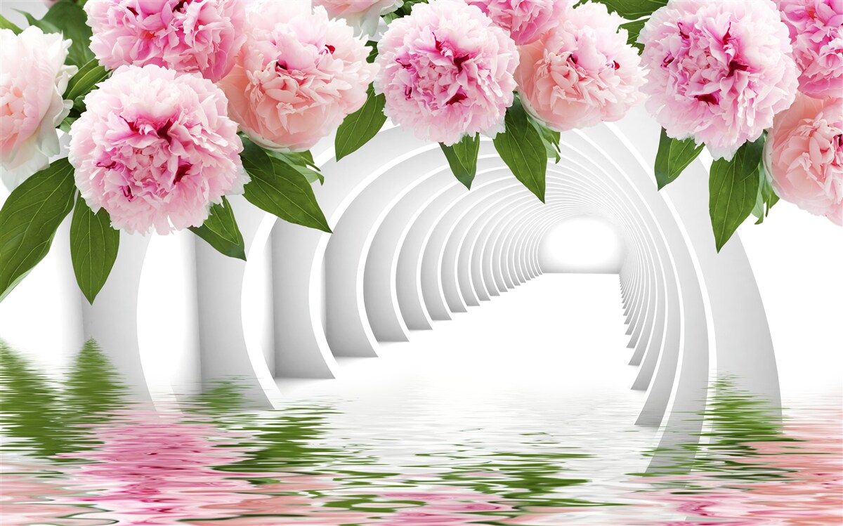 Fototapeta pivonky v ružovej farbe nad vodnou hladinou