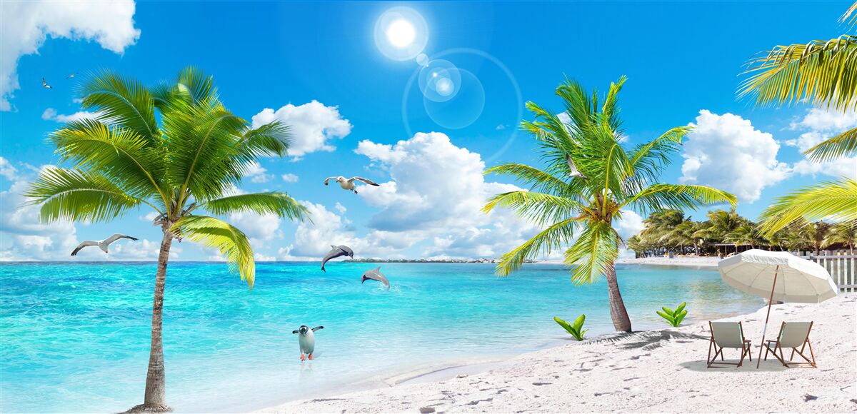 Fototapeta pláž s pieskom a palmami