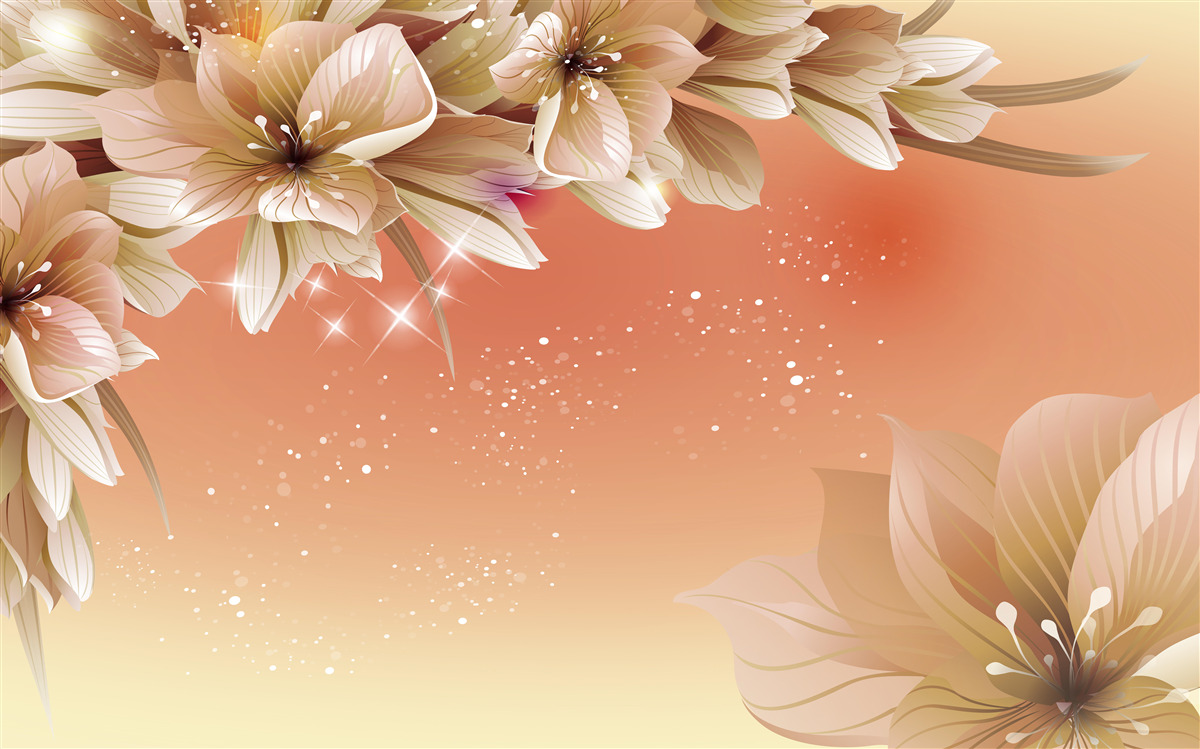 Fototapeta biele kvety kvitnúce na konári na pozadí zapadajúceho slnka