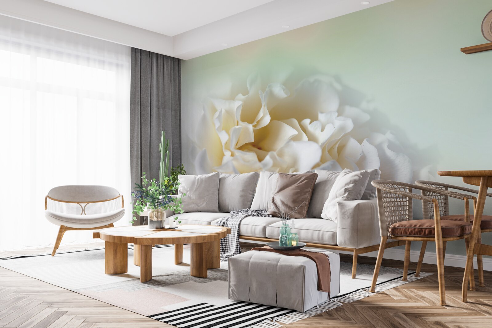 Fototapeta pivonka pozadie v krémových a nadýchaných odtieňoch