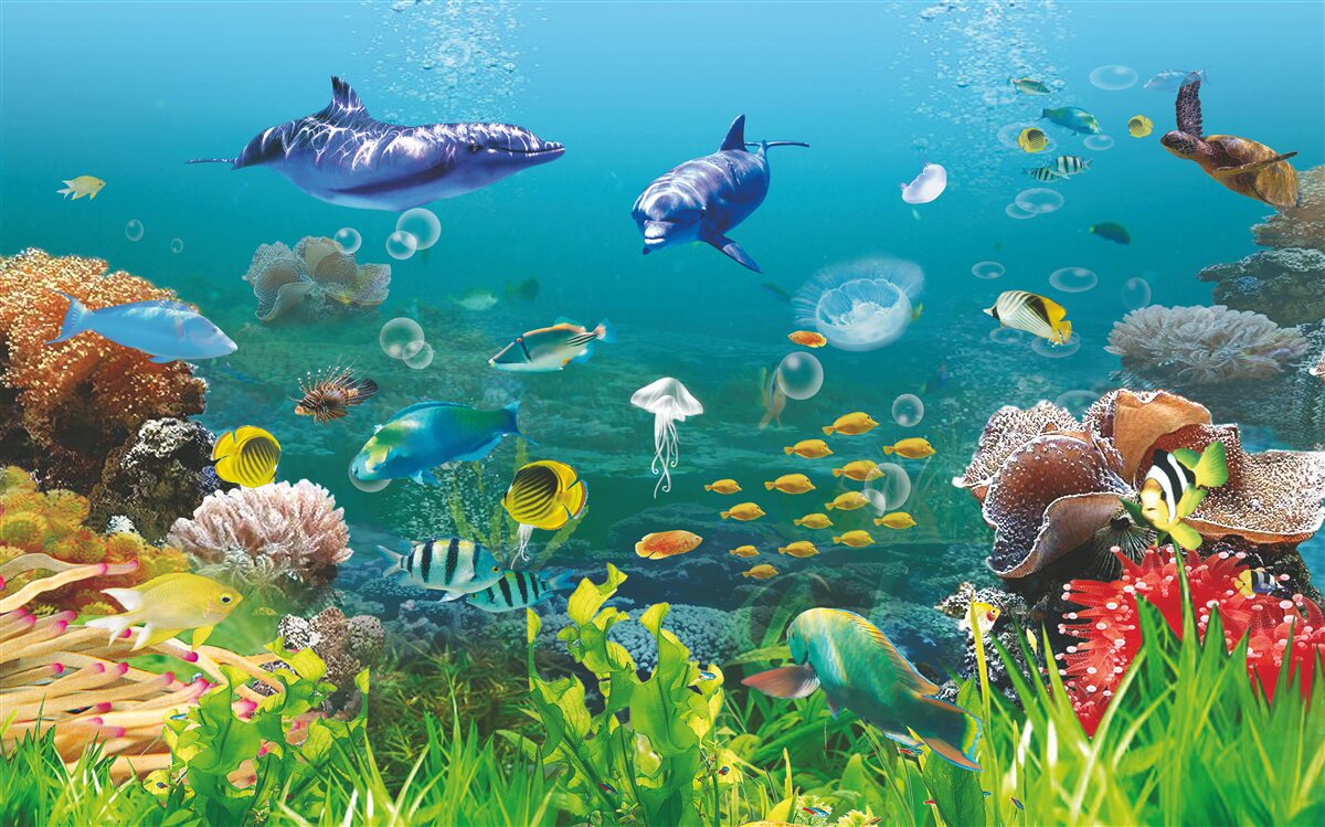 Fototapeta morských obyvateľov na zelenkastom dne