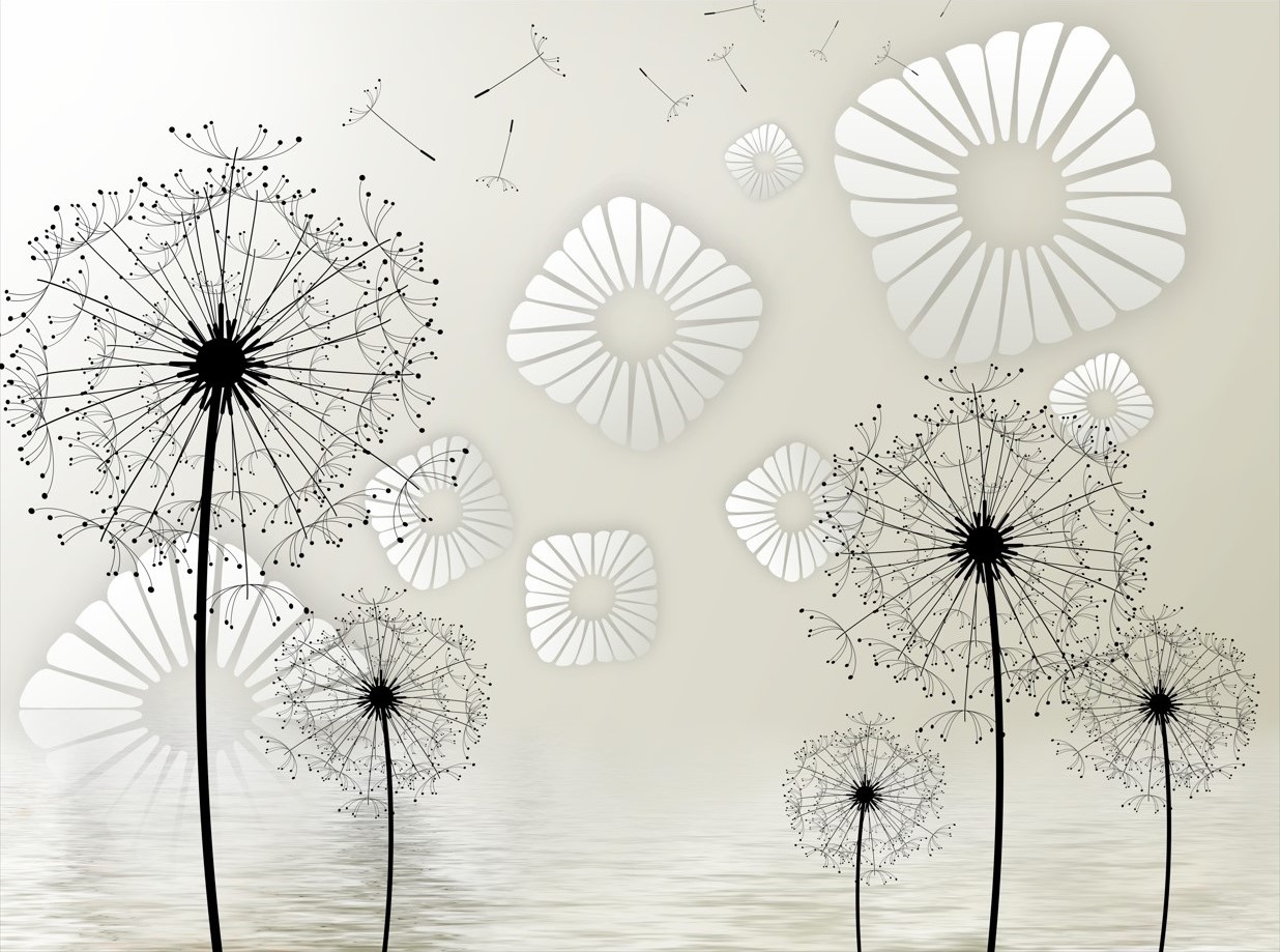 Fototapeta púpava pri východe slnka