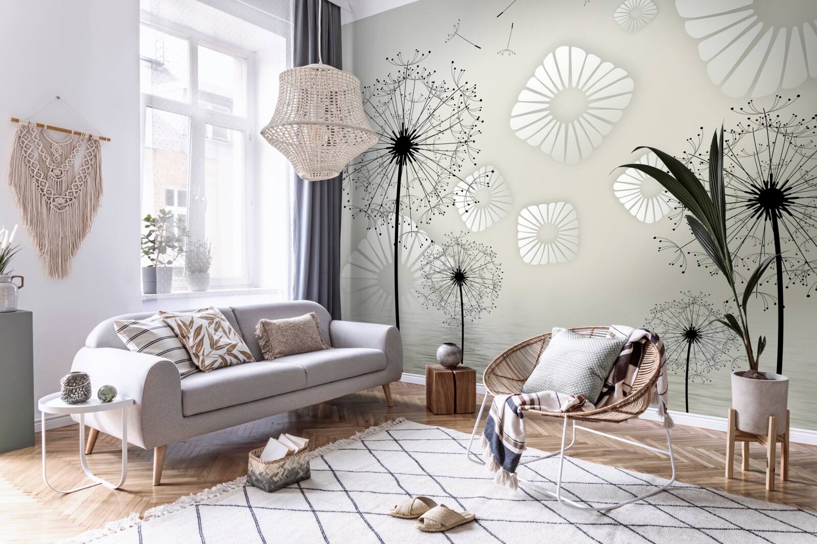 Fototapeta púpava pri východe slnka