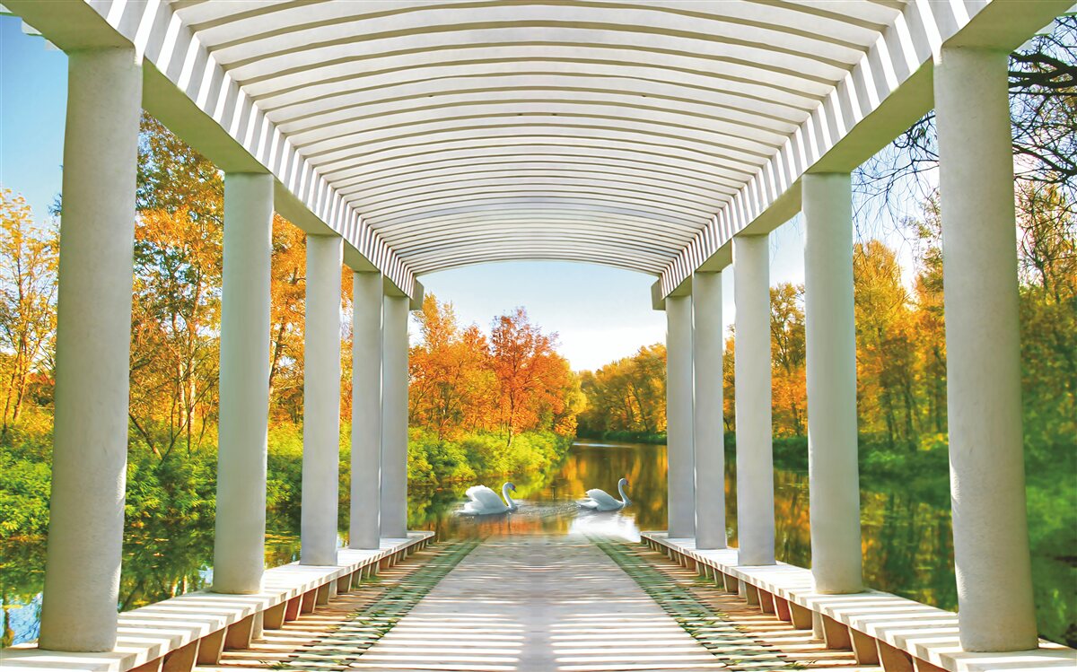 Fototapeta nádrž, na ktorej plávajú snehobiele labute