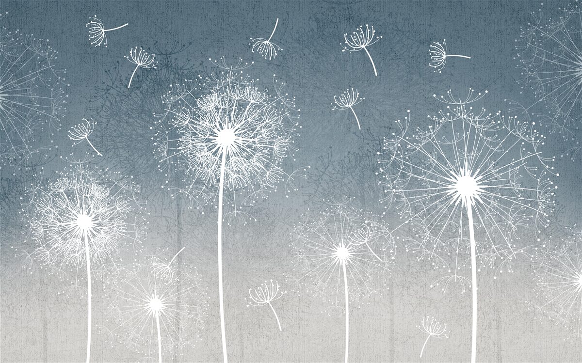 Fototapeta ľahký plávajúci let púpavy za súmraku