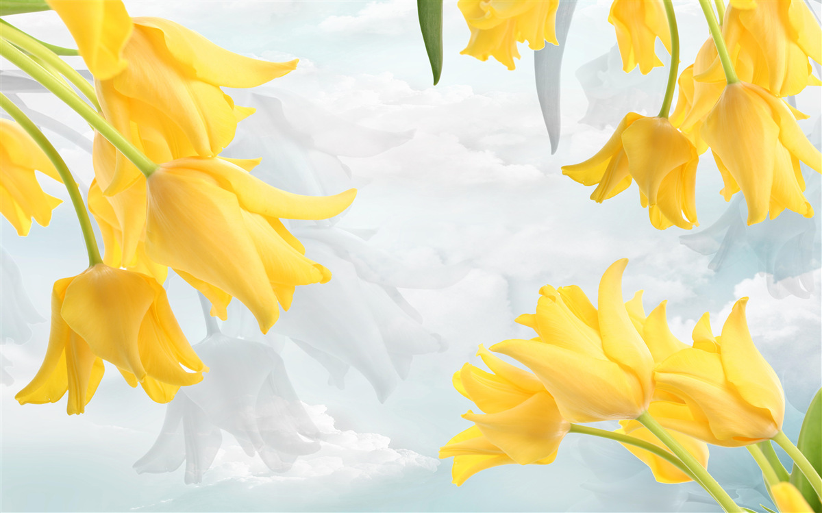 Fototapeta Žlté tulipány proti modrej oblohe