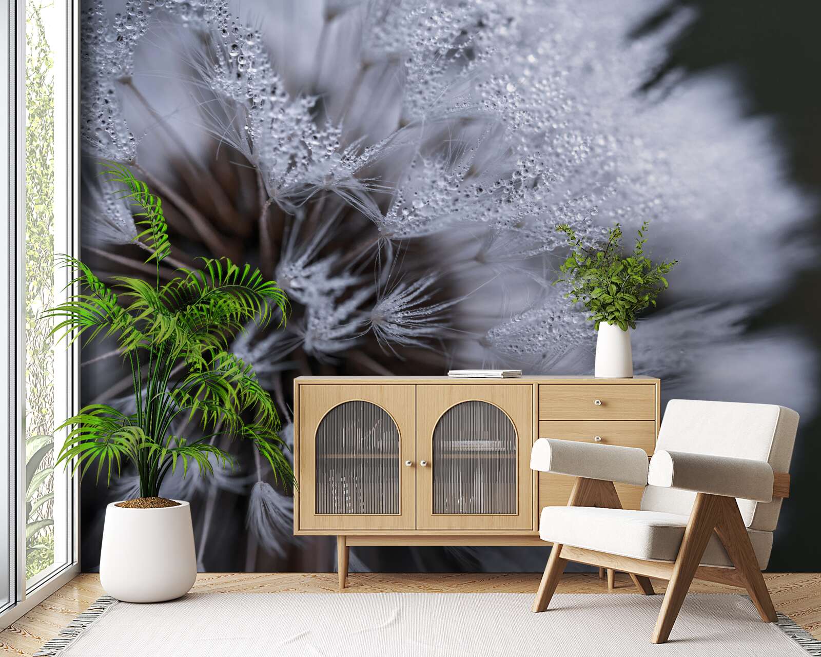 Fototapeta kvety púpavy s nadýchanými lupeňmi