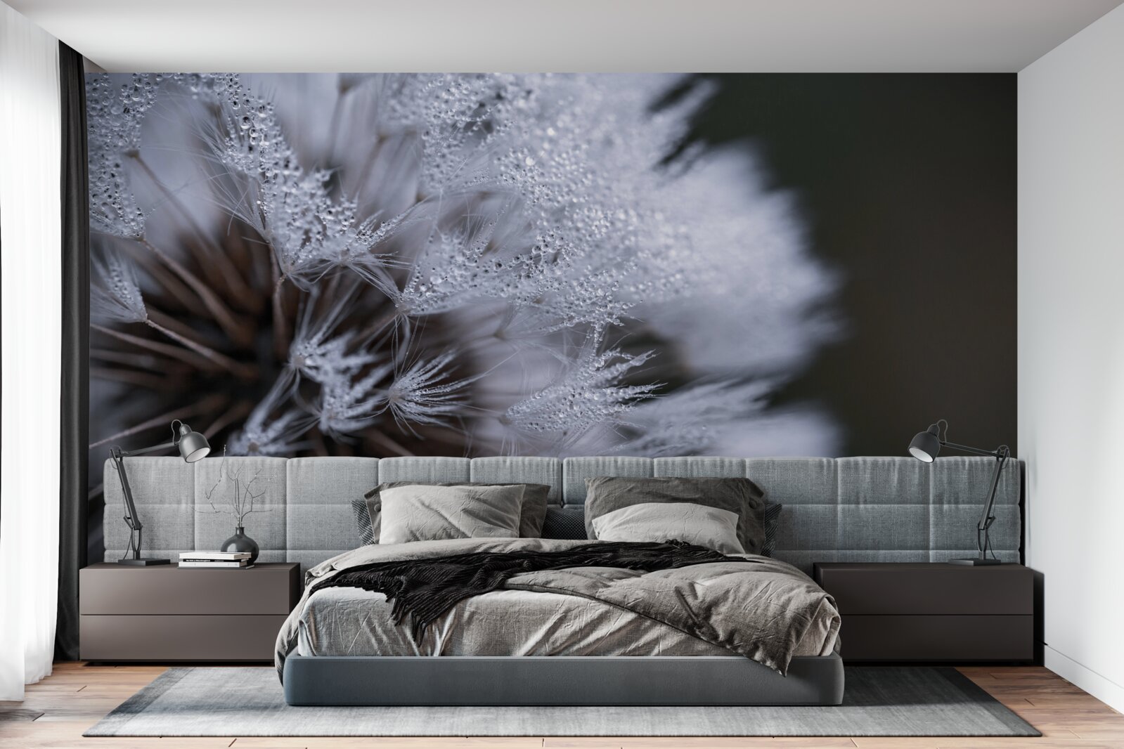 Fototapeta kvety púpavy s nadýchanými lupeňmi