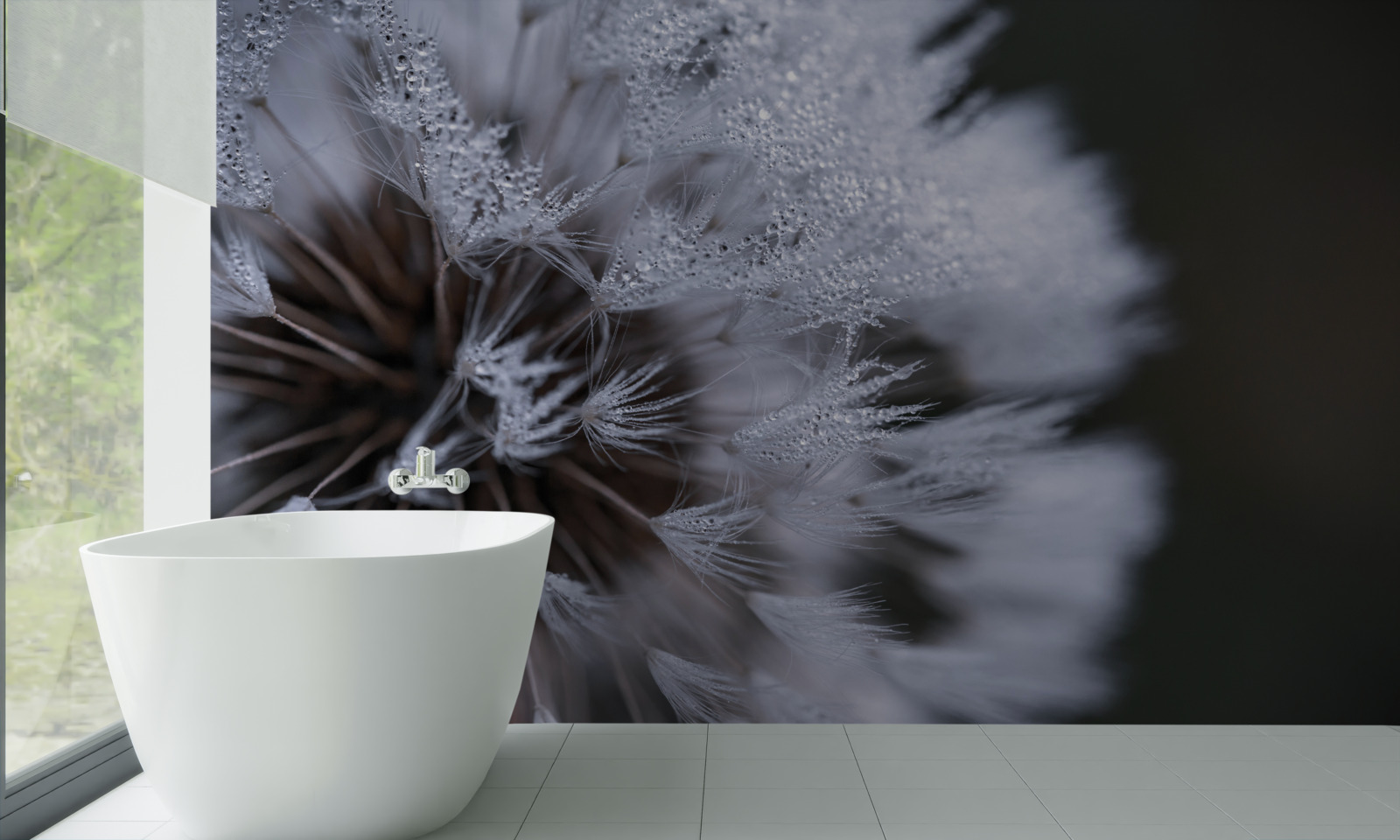 Fototapeta kvety púpavy s nadýchanými lupeňmi