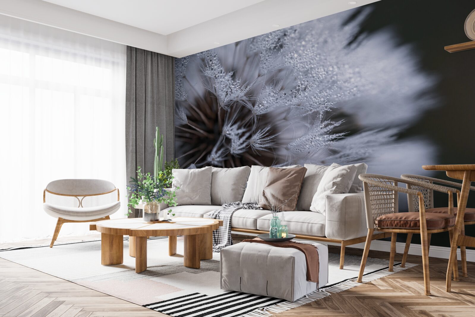 Fototapeta kvety púpavy s nadýchanými lupeňmi