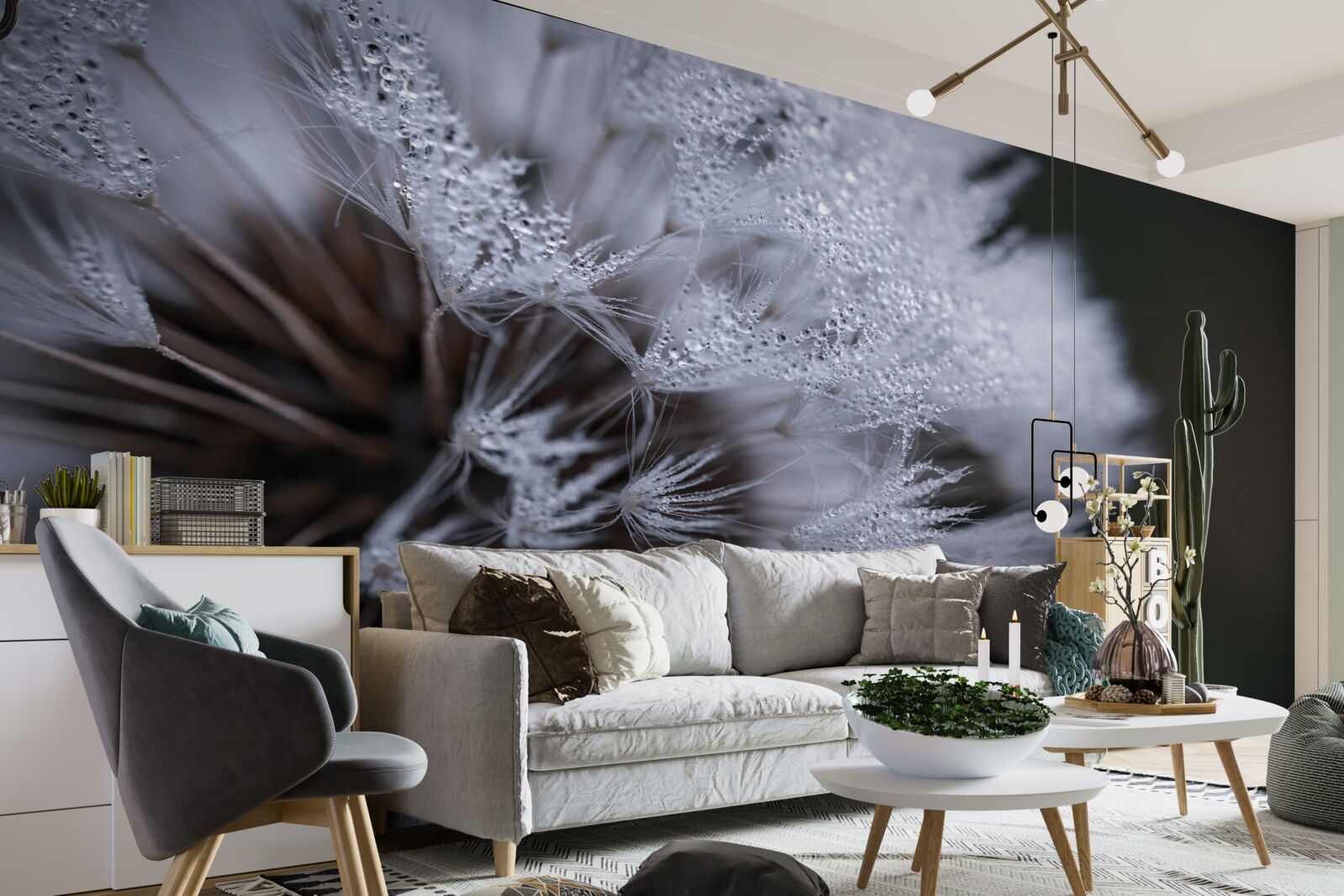 Fototapeta kvety púpavy s nadýchanými lupeňmi