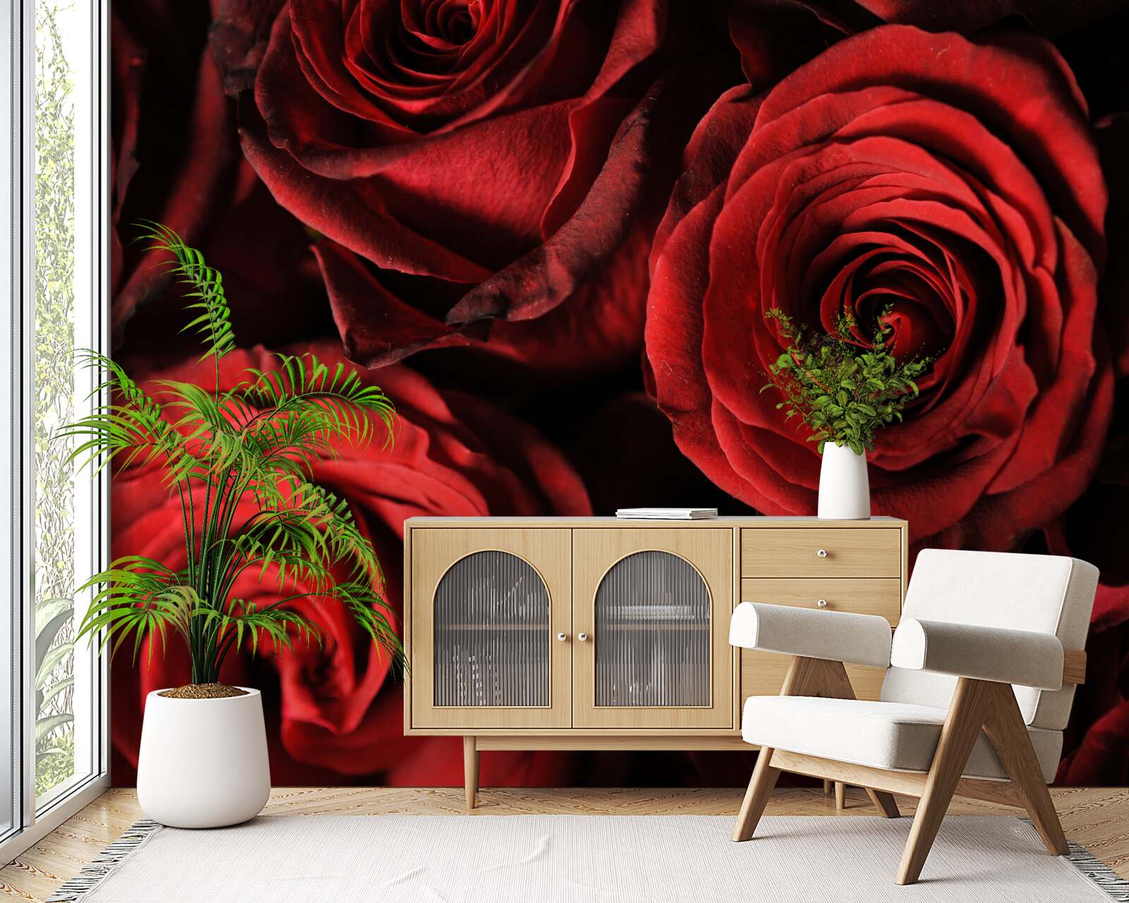 Fototapeta červená ruža je stelesnením krásy