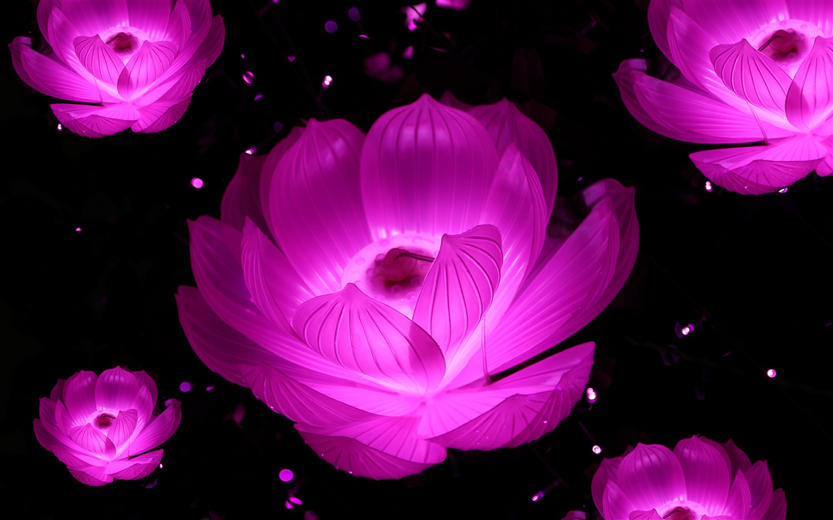 Fototapeta fialové kvety v neónovom svetle