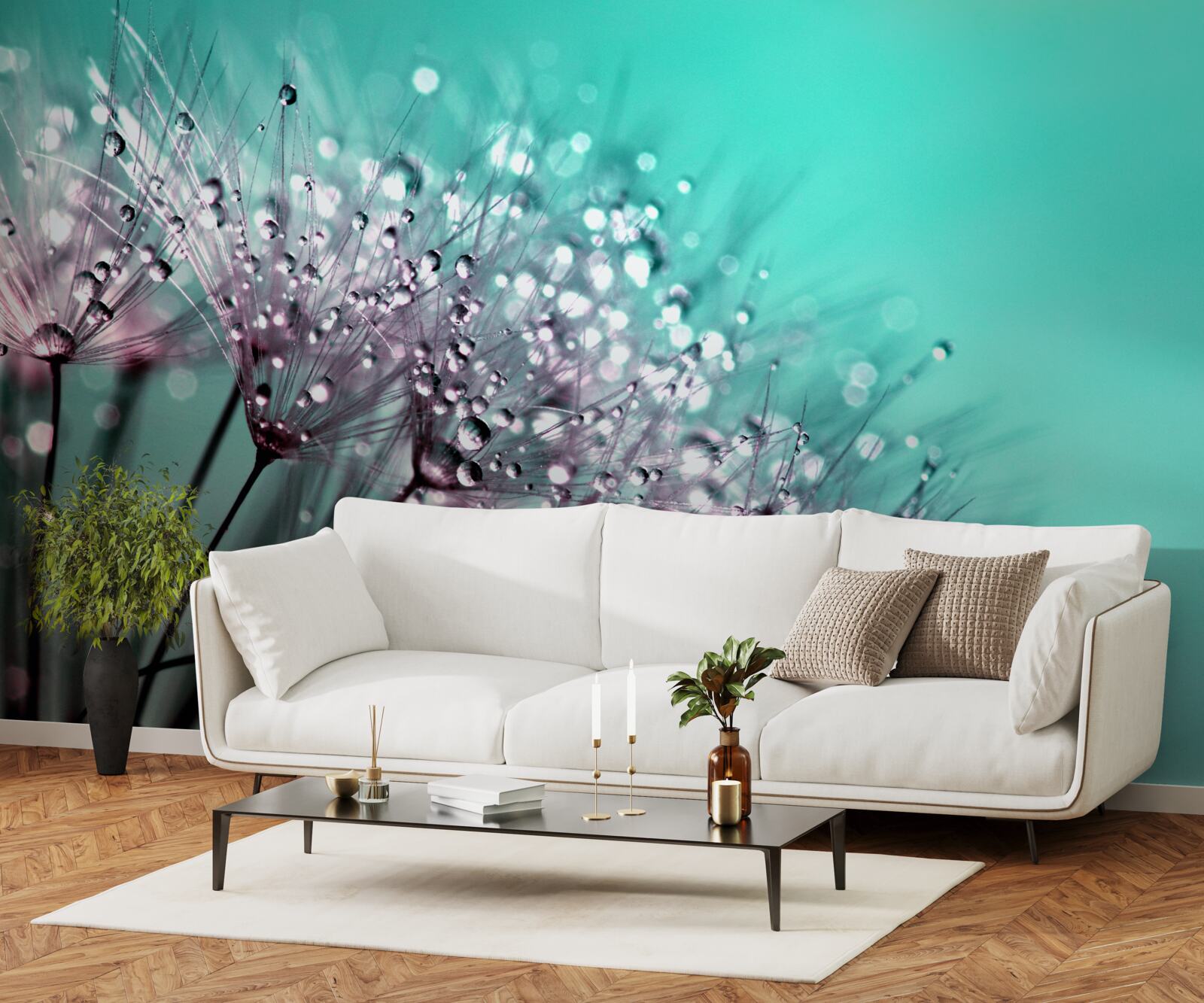 Fototapeta ranná rosa na kvete púpavy