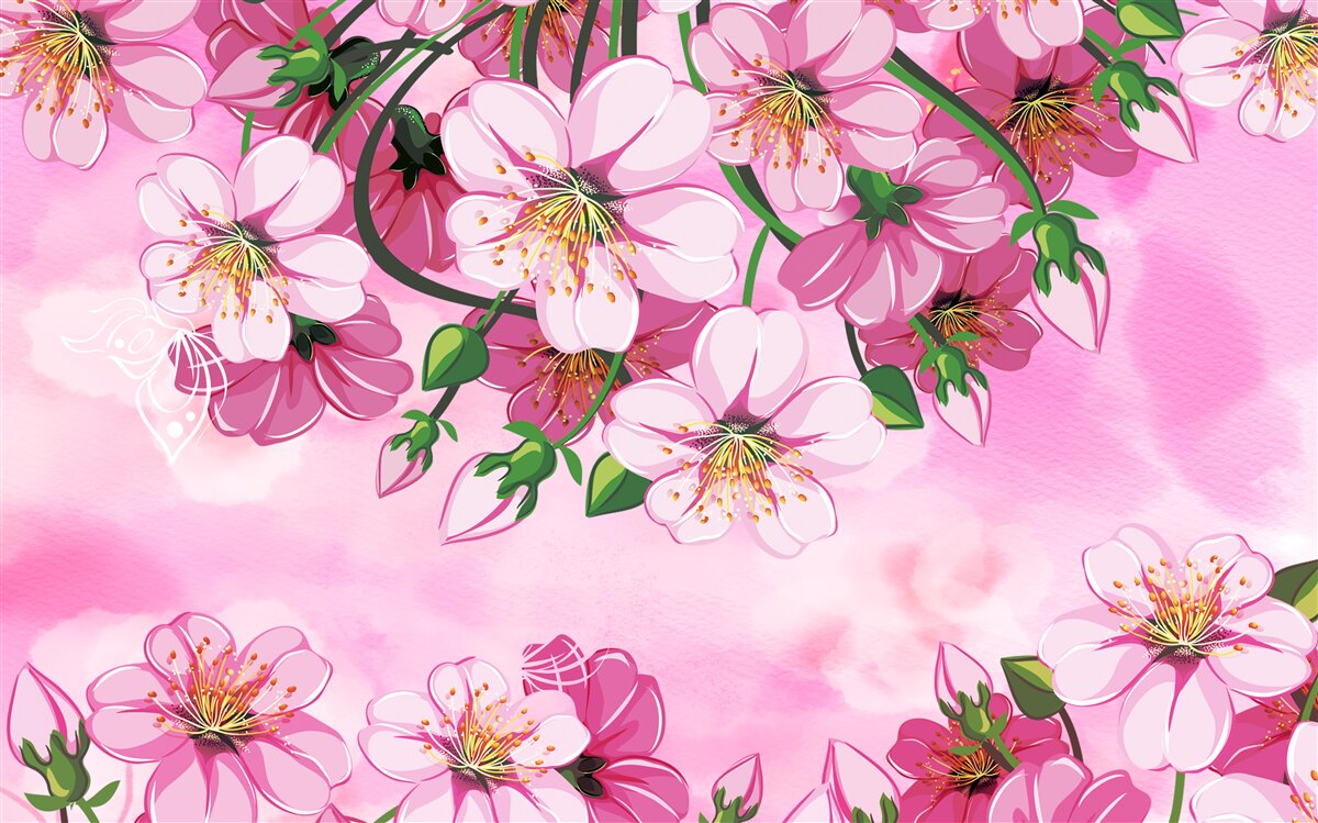 Fototapeta Japonské čerešňové kvety