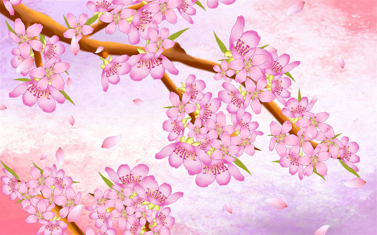 Fototapeta na konári kvitnú krásne ružové púčiky