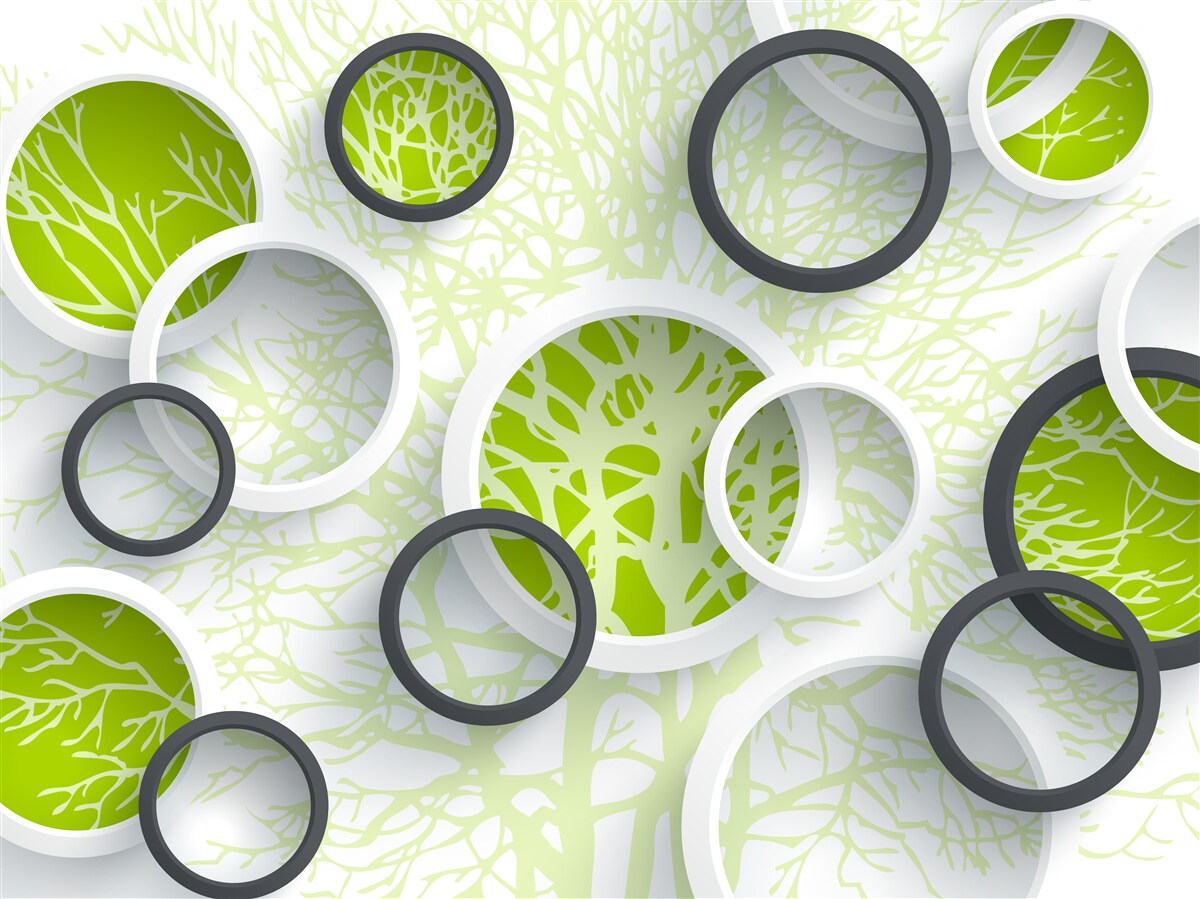 Fototapeta kruhy šošovky odrážajú zeleň listov stromu