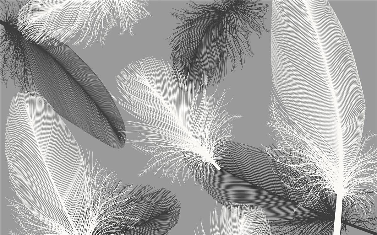 Fototapeta strieborné a svetlé nadýchané taniere