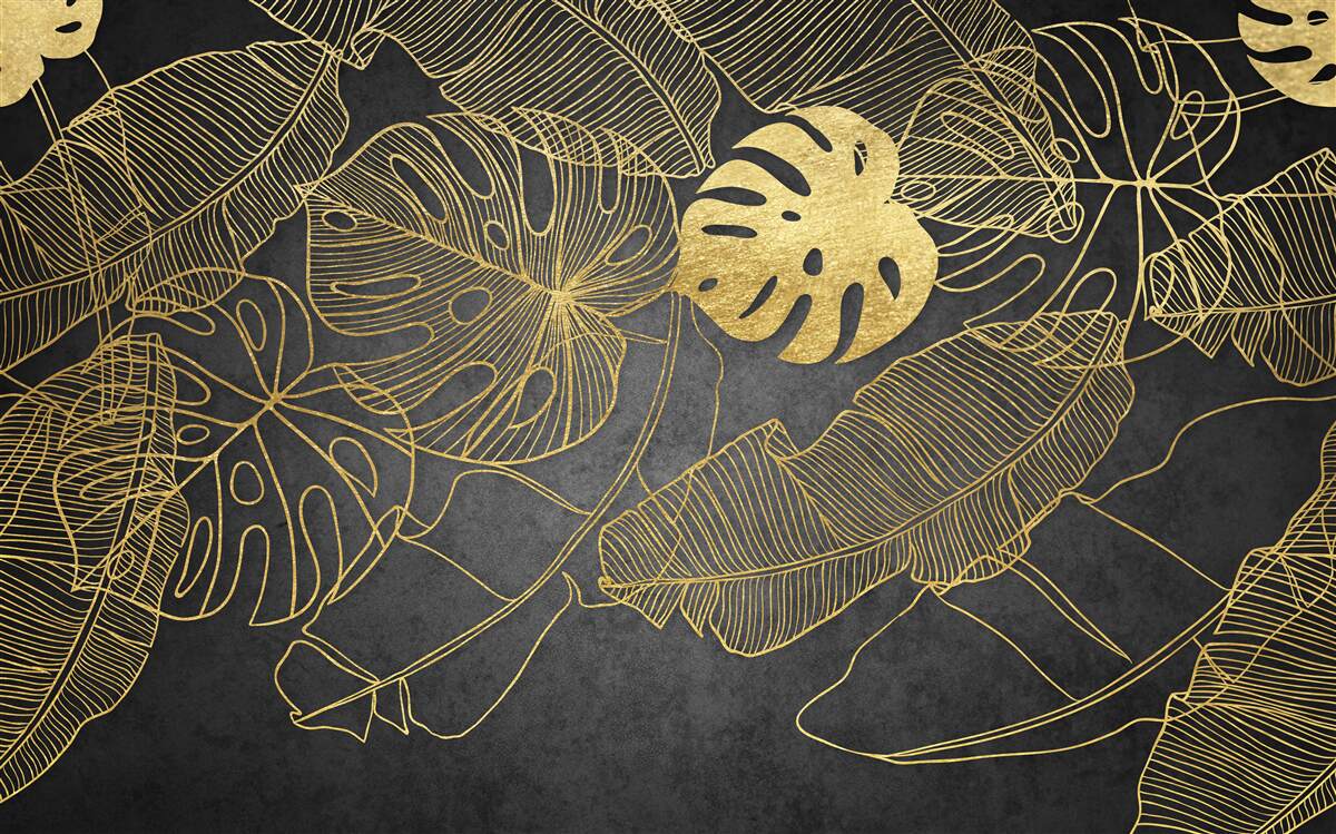 Fototapeta Monstery majú listy, ktorých obrys zodpovedá zlatému rezu