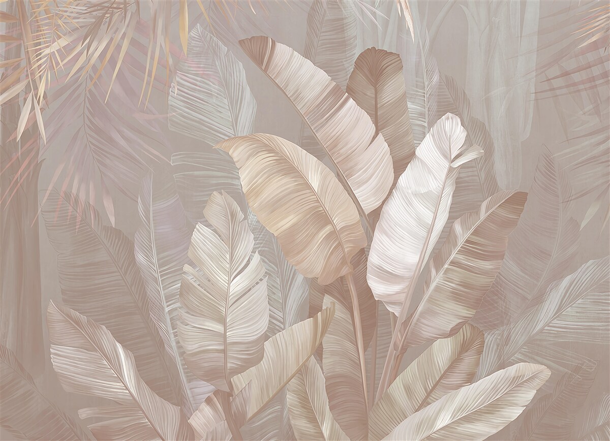 Fototapeta mäkké dažďové pralesy