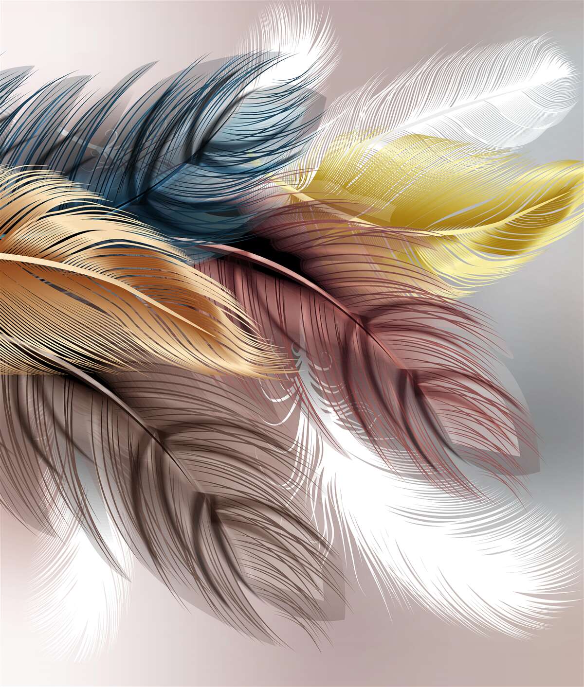 Fototapeta svetlé perie vtákov