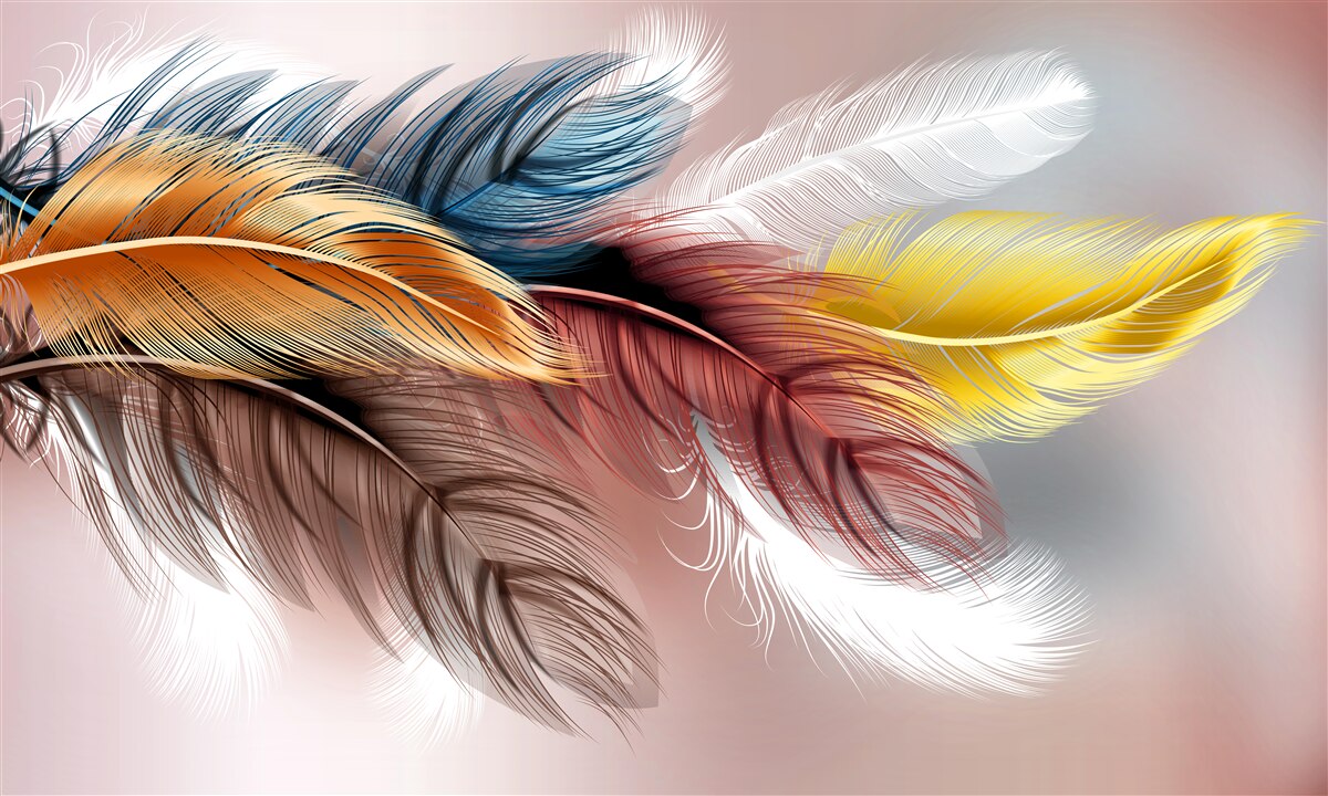 Fototapeta perie v rôznych farbách