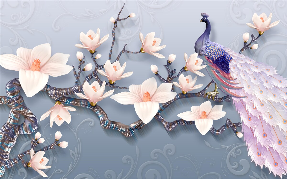 Fototapeta nádherný páv sediaci na konári s púčikmi